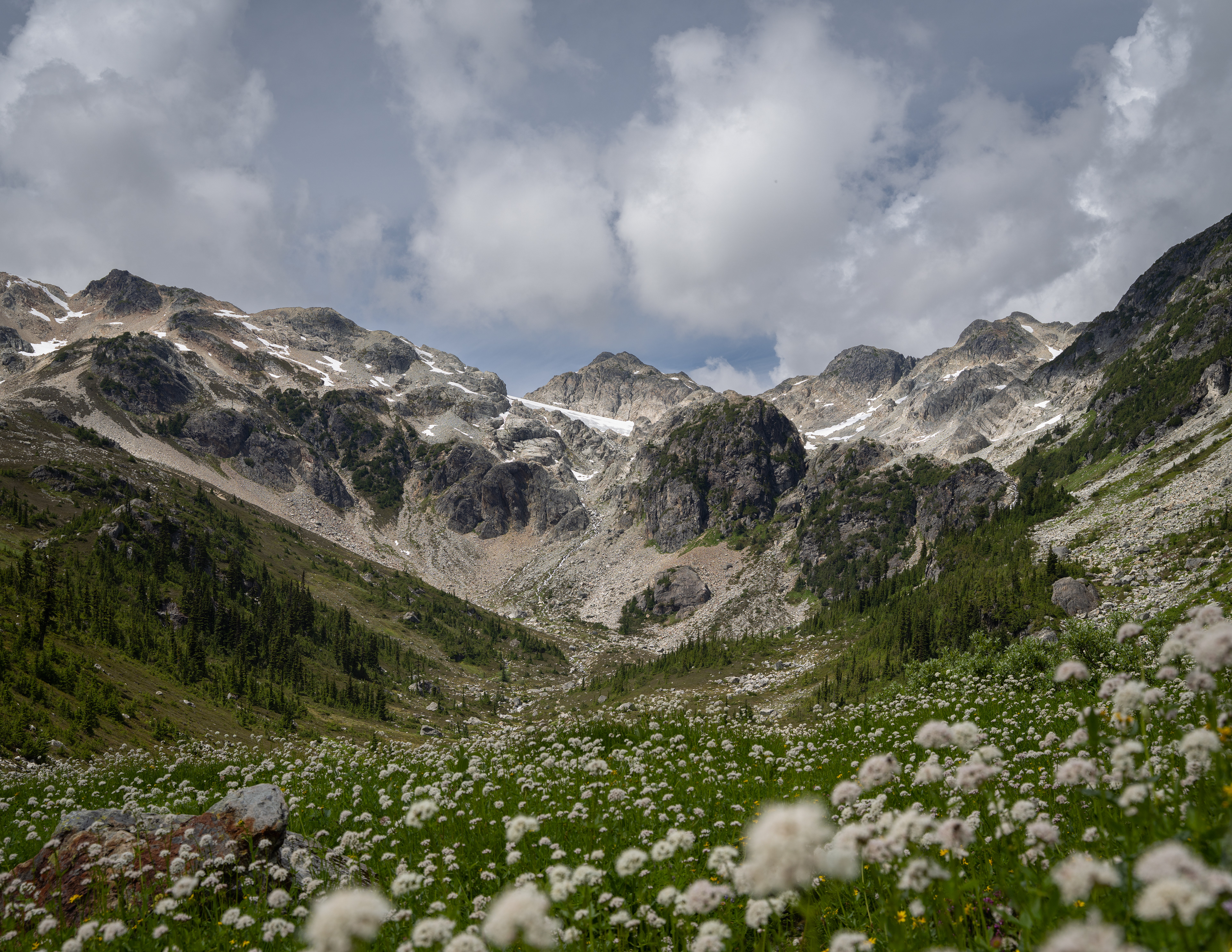 Brandywine Meadow