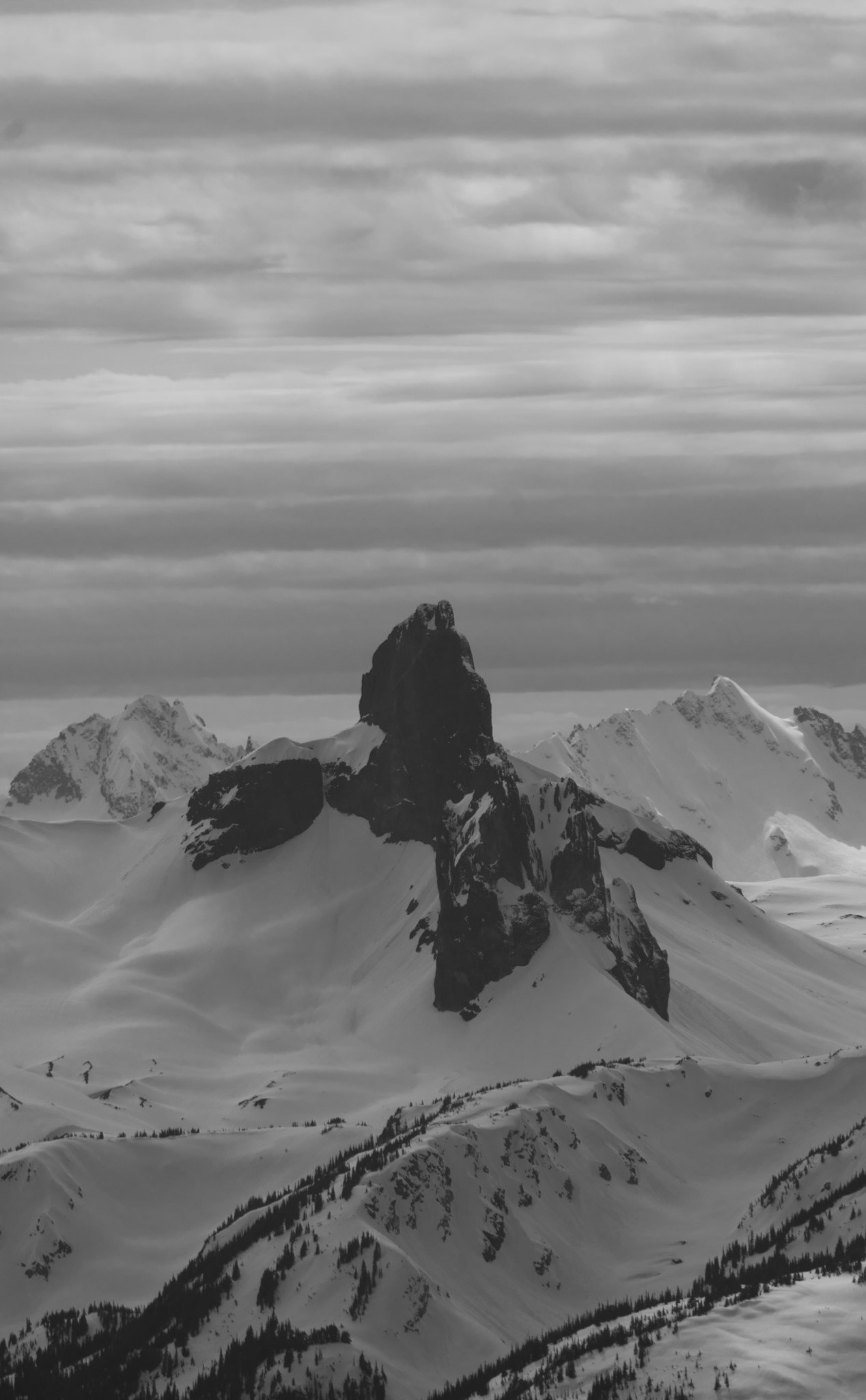 Black Tusk