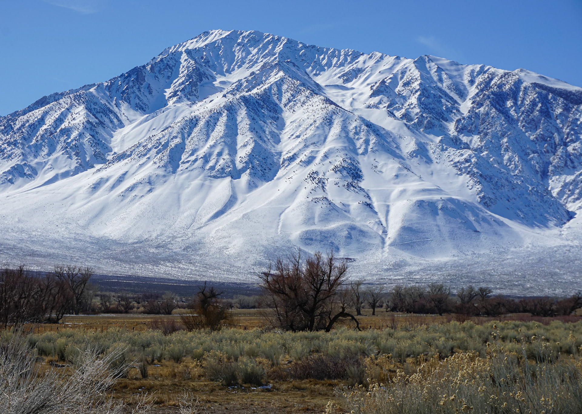 Mt. Tom seen from Bishop