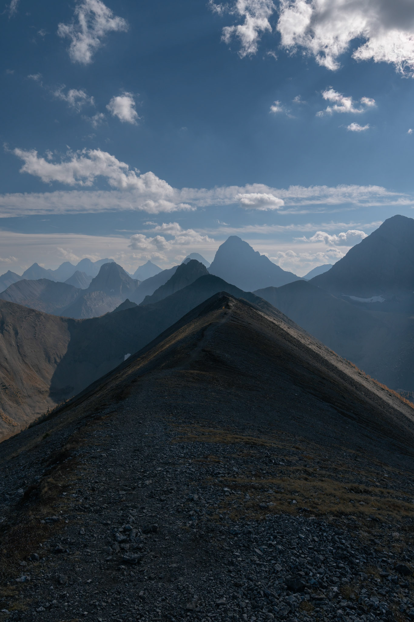 Tent Ridge, Kananaskis