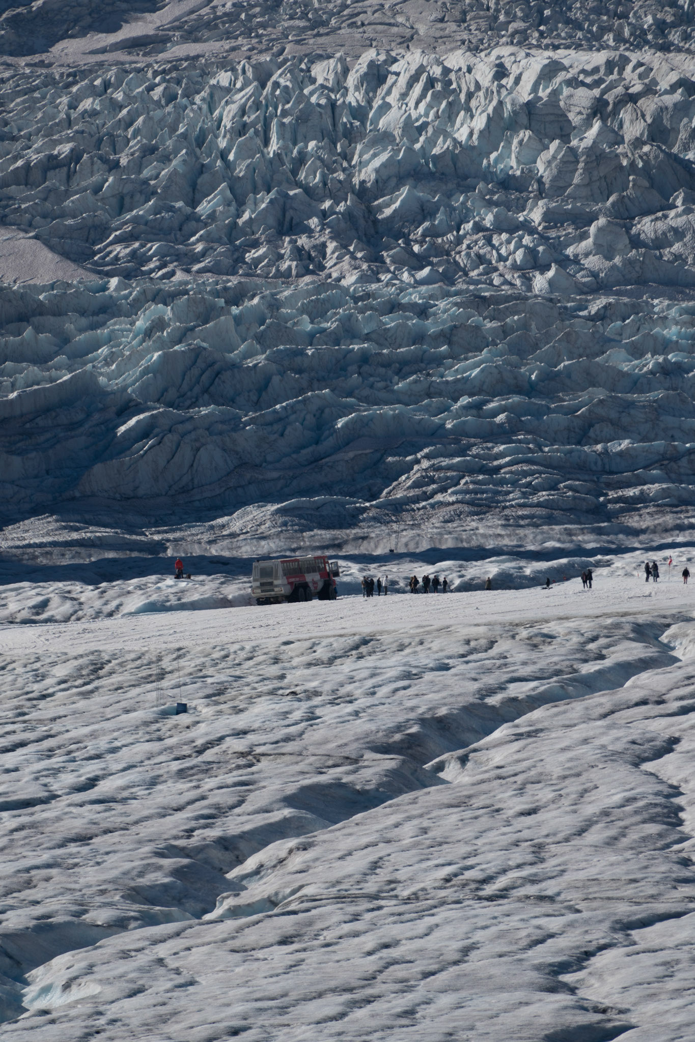 One of the signs in the area recommends carpooling to combat climate change. Meanwhile tour buses gather on the receding Athabasca Glacier