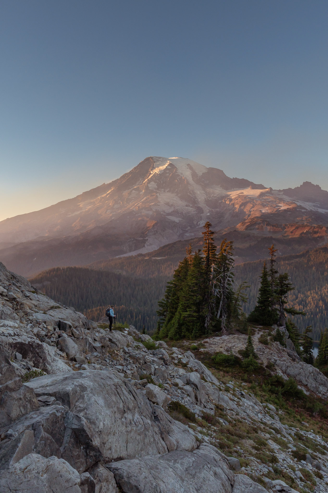 Mt. Rainier at sunset