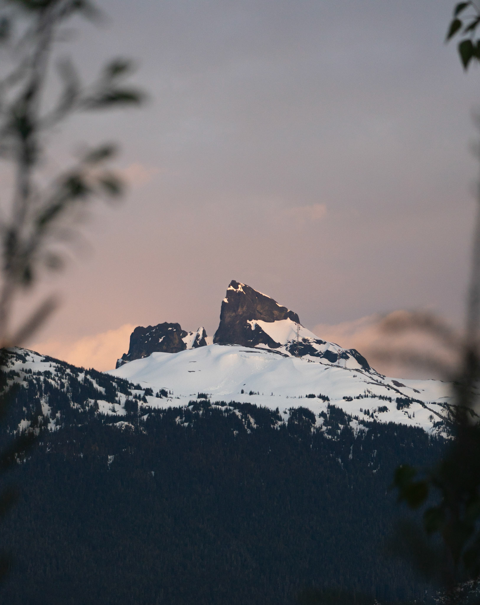 Black Tusk from my window