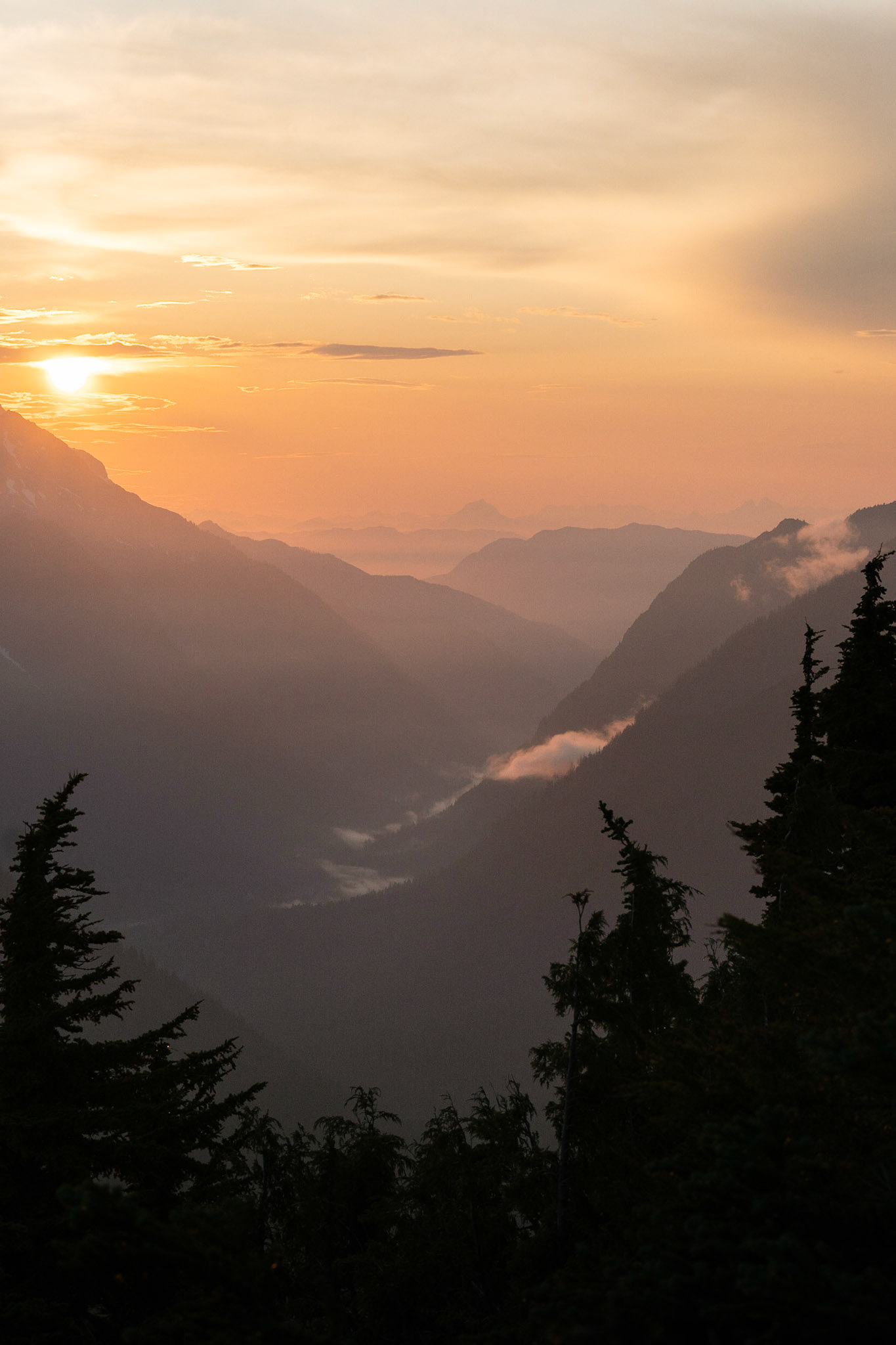 Sunset on Mt. Robie Reid