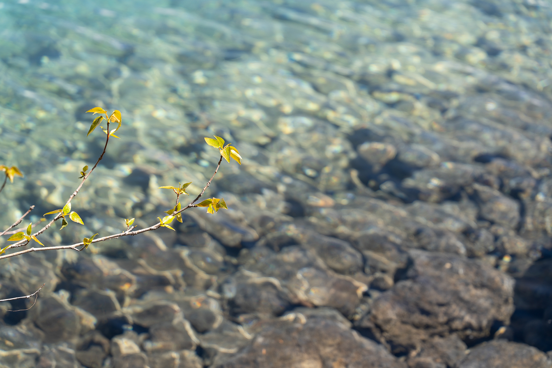 Clear waters of Garibaldi Lake