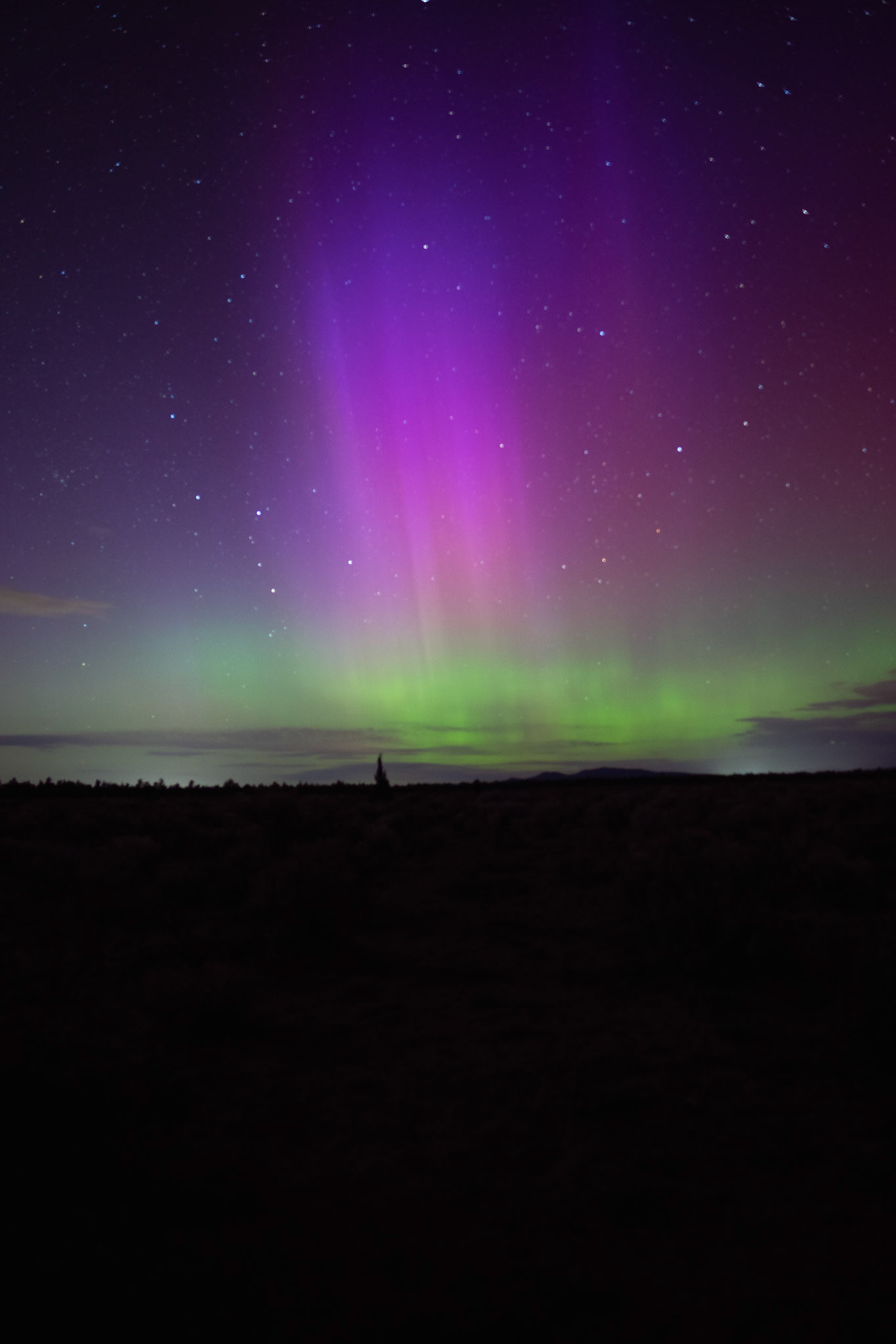Aurora Borealis April 2023