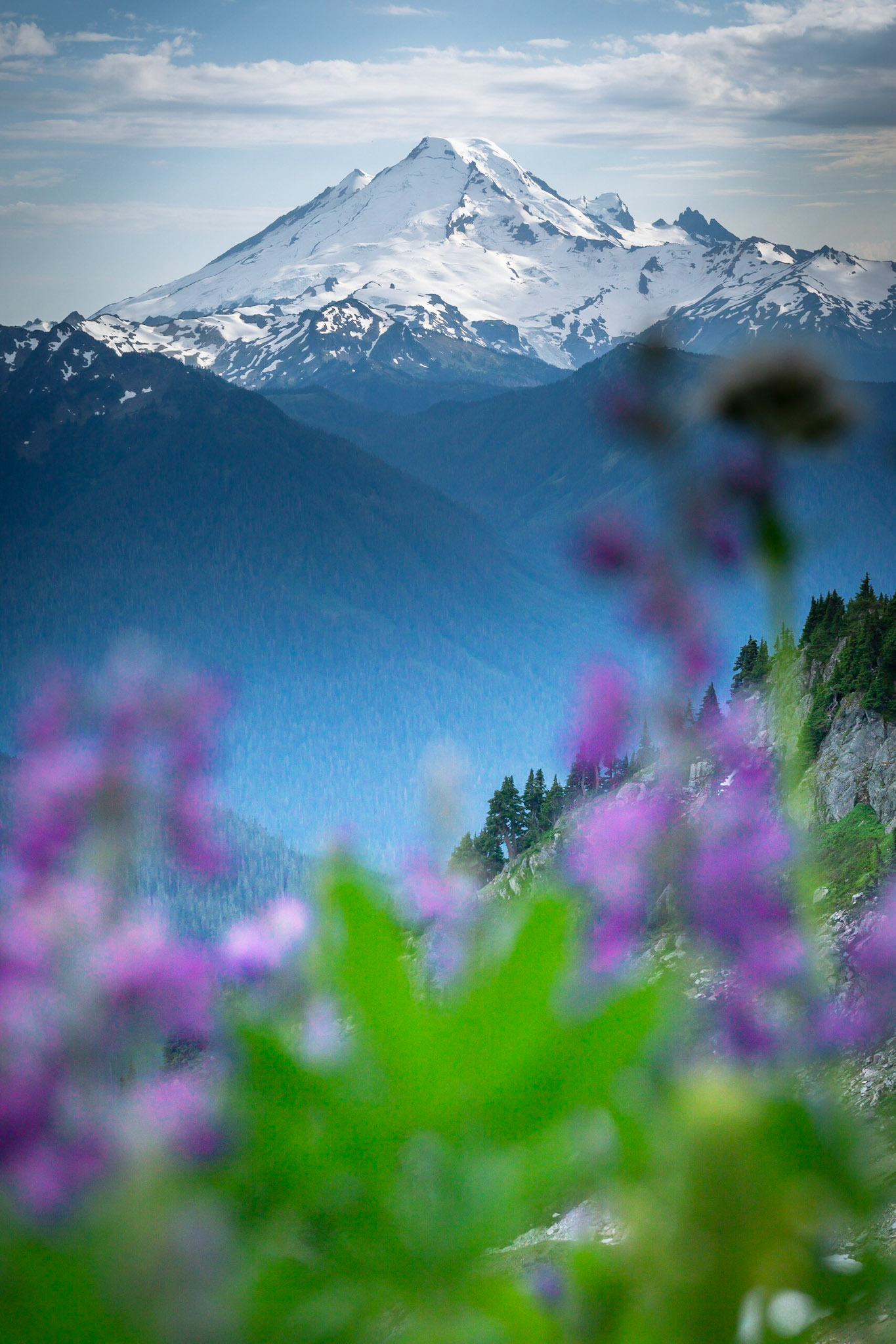Mt. Baker