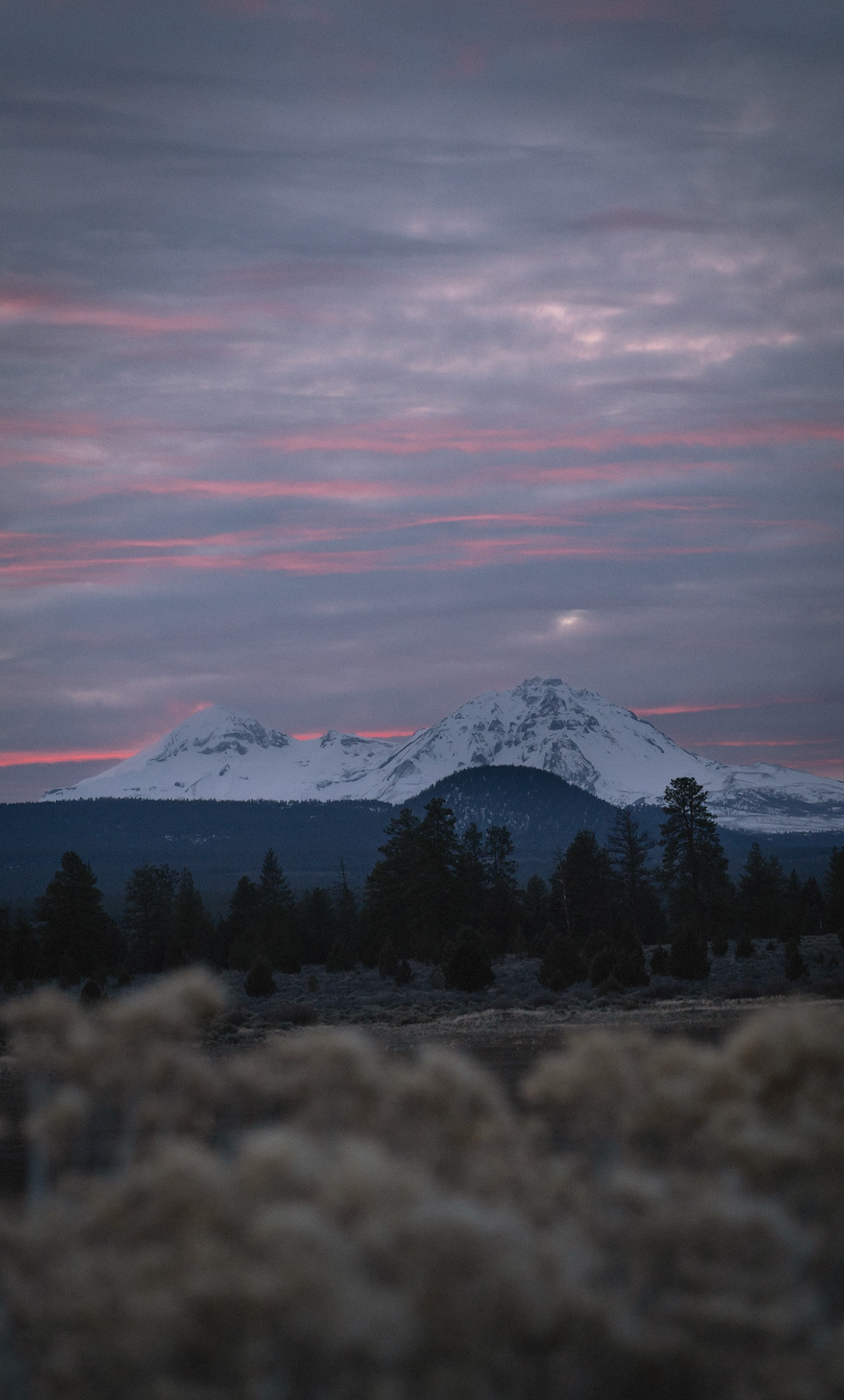 Riley Ranch