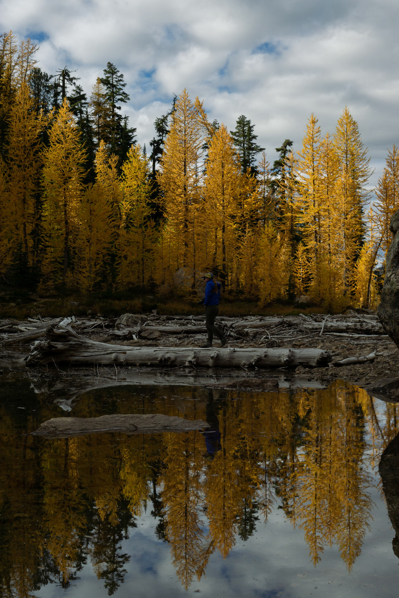 Reflections on Kangaroo Ridge
