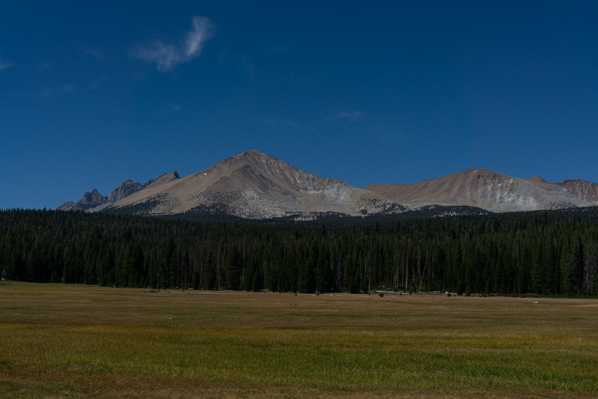 Skyparlor Meadow
