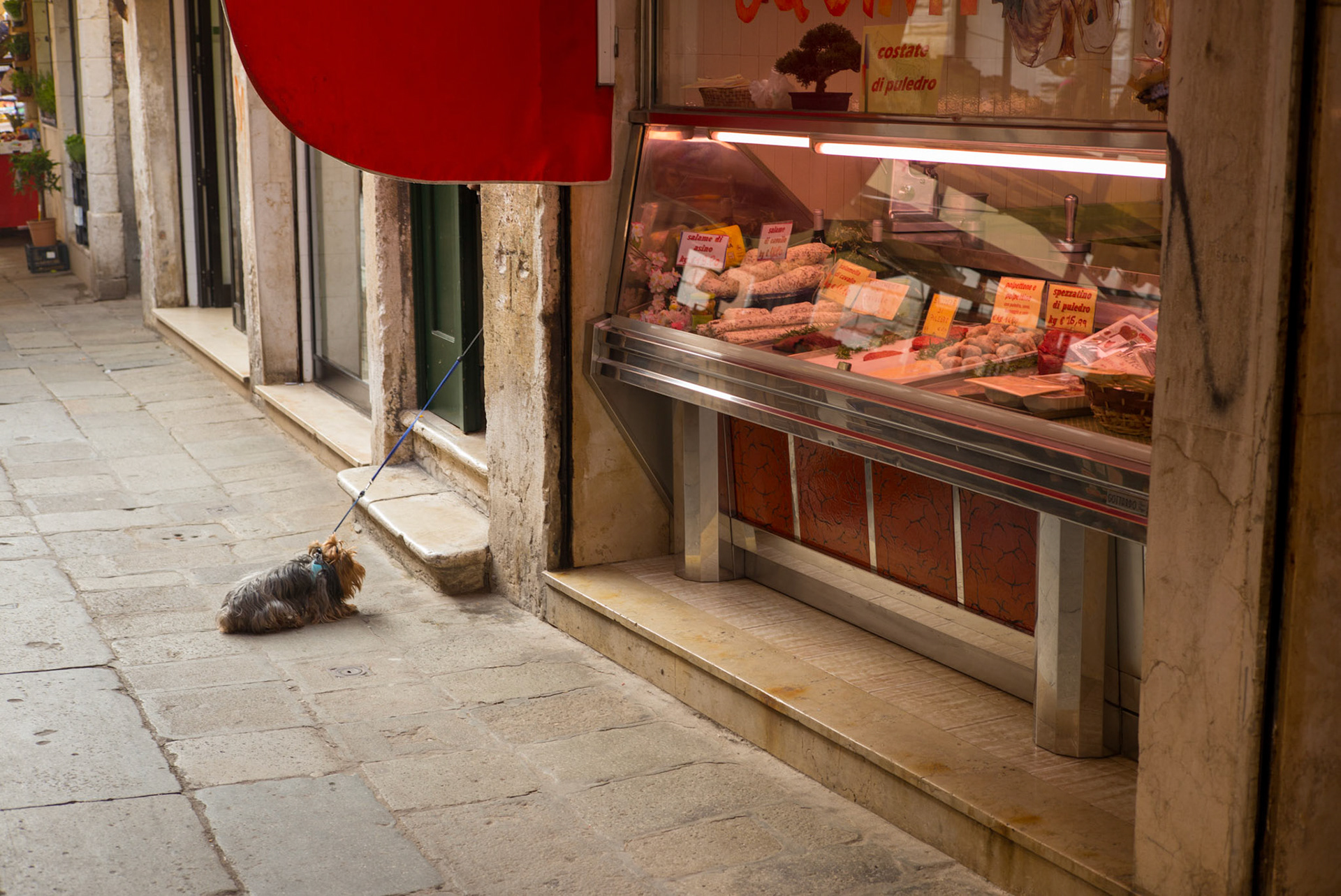 Venise