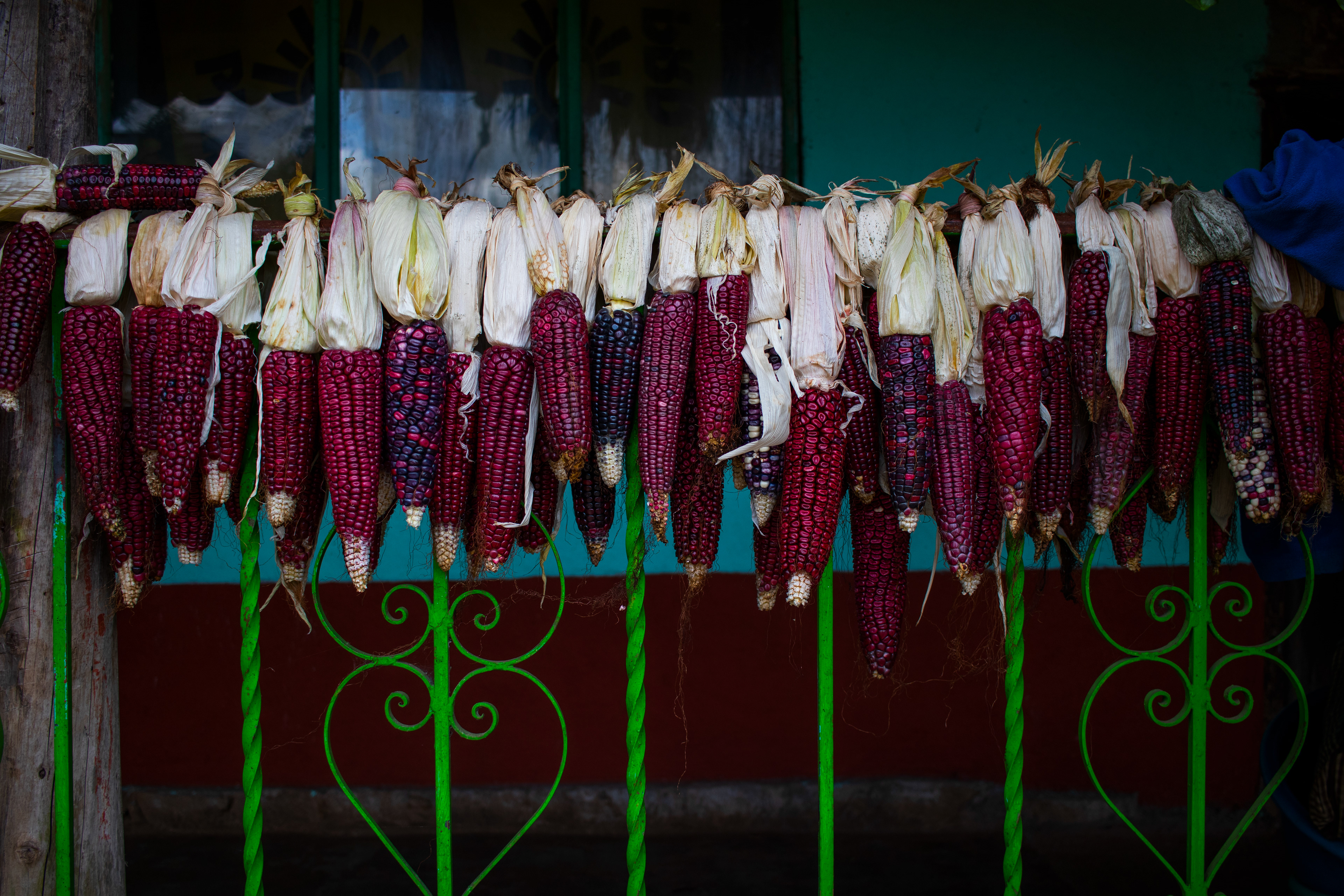 Lago de Pátzcuaro, Michoacán