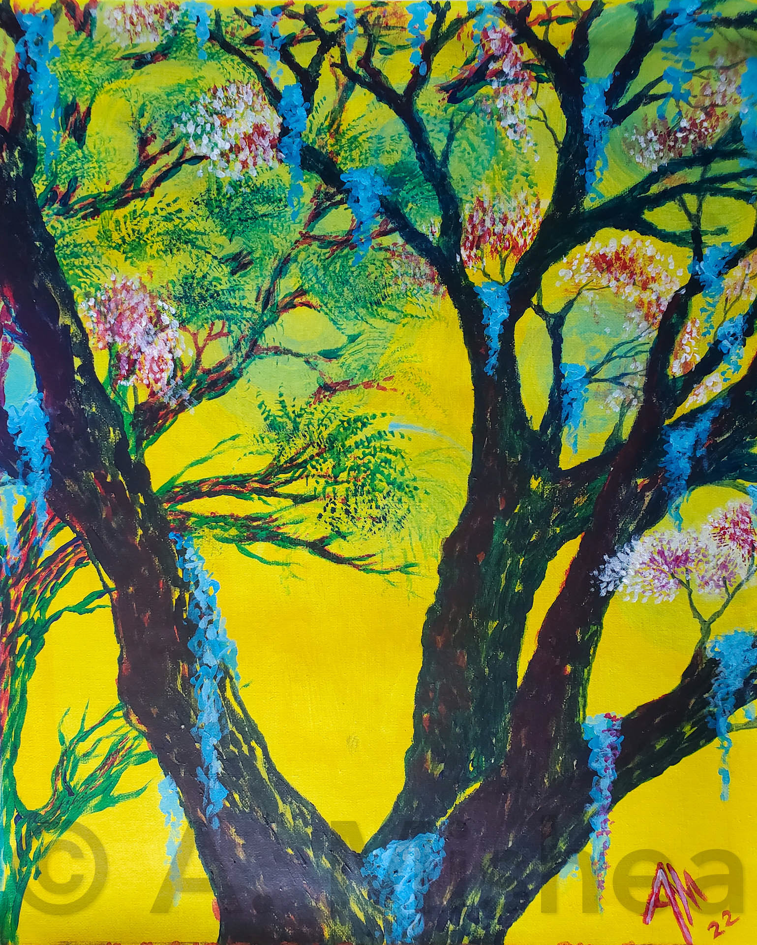 Elysian Canopy, 2022