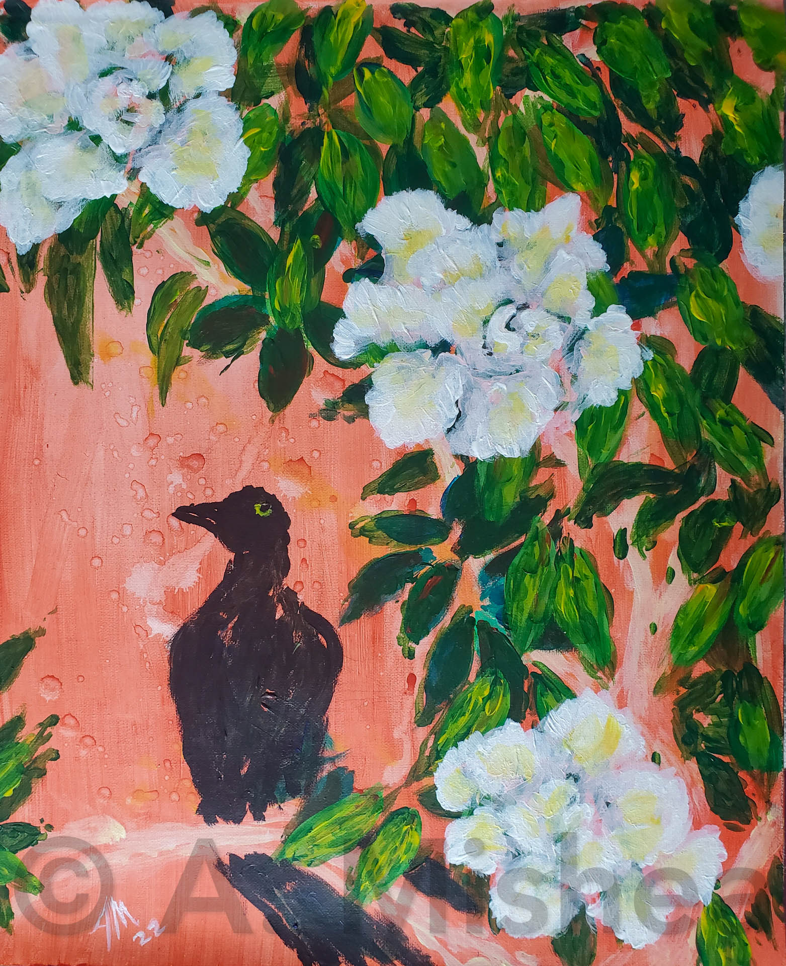 Raven’s Refuge, 2022