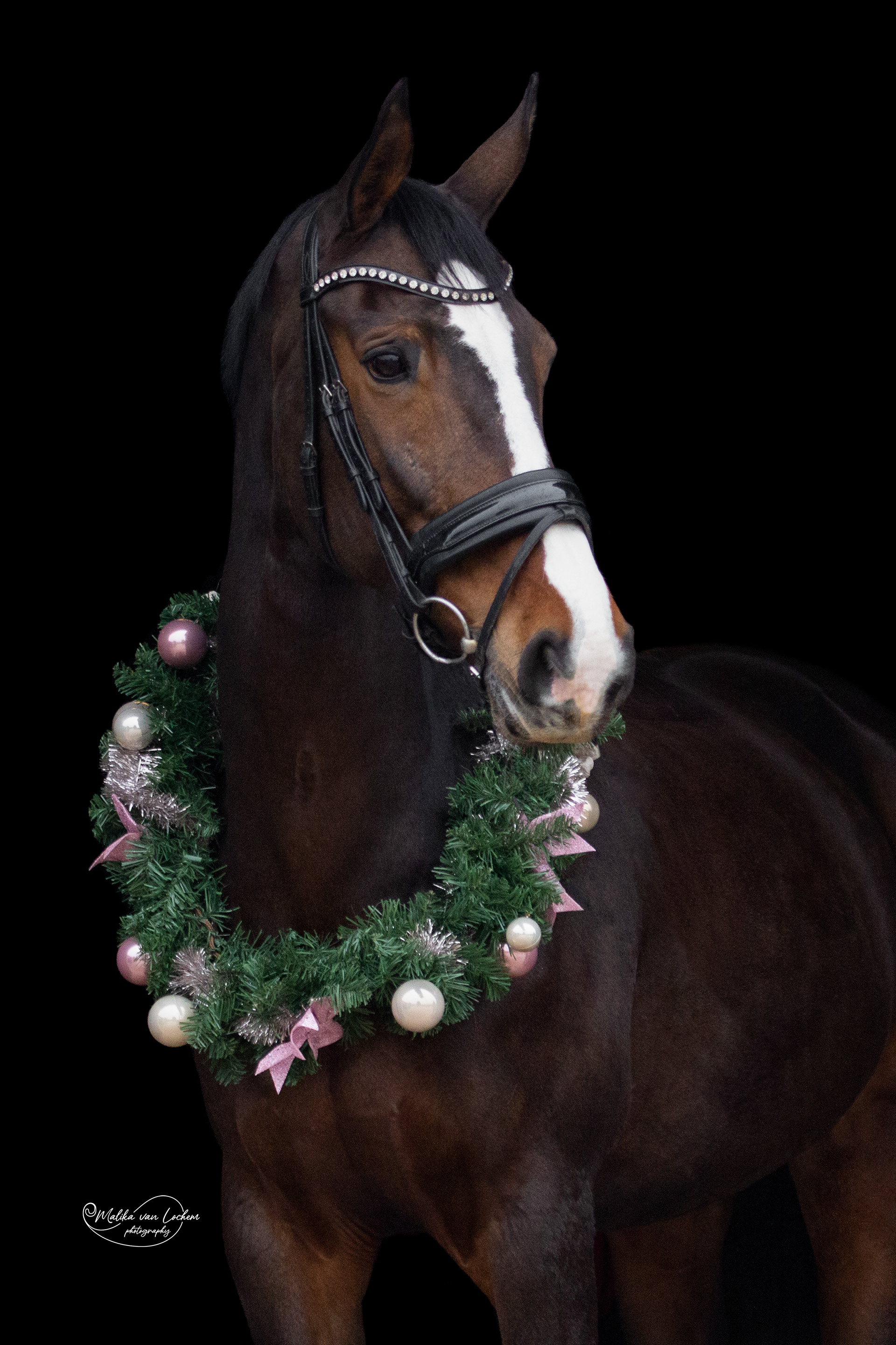 ... boek het kerstthema in het najaar!