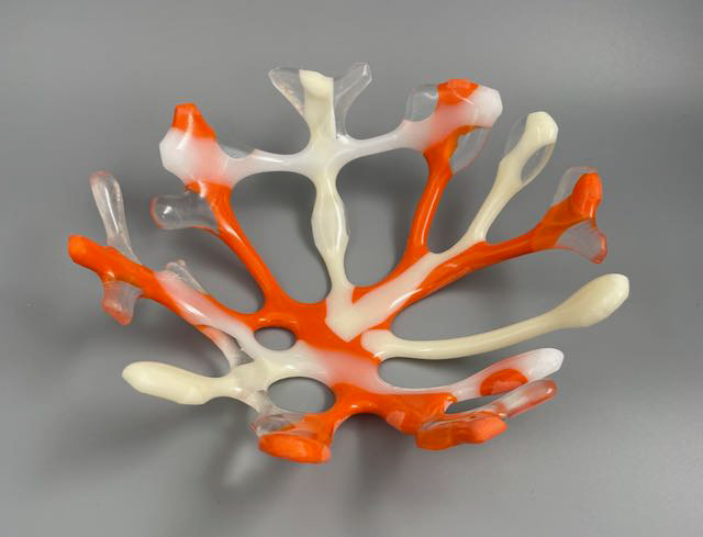 Coral Bowl
