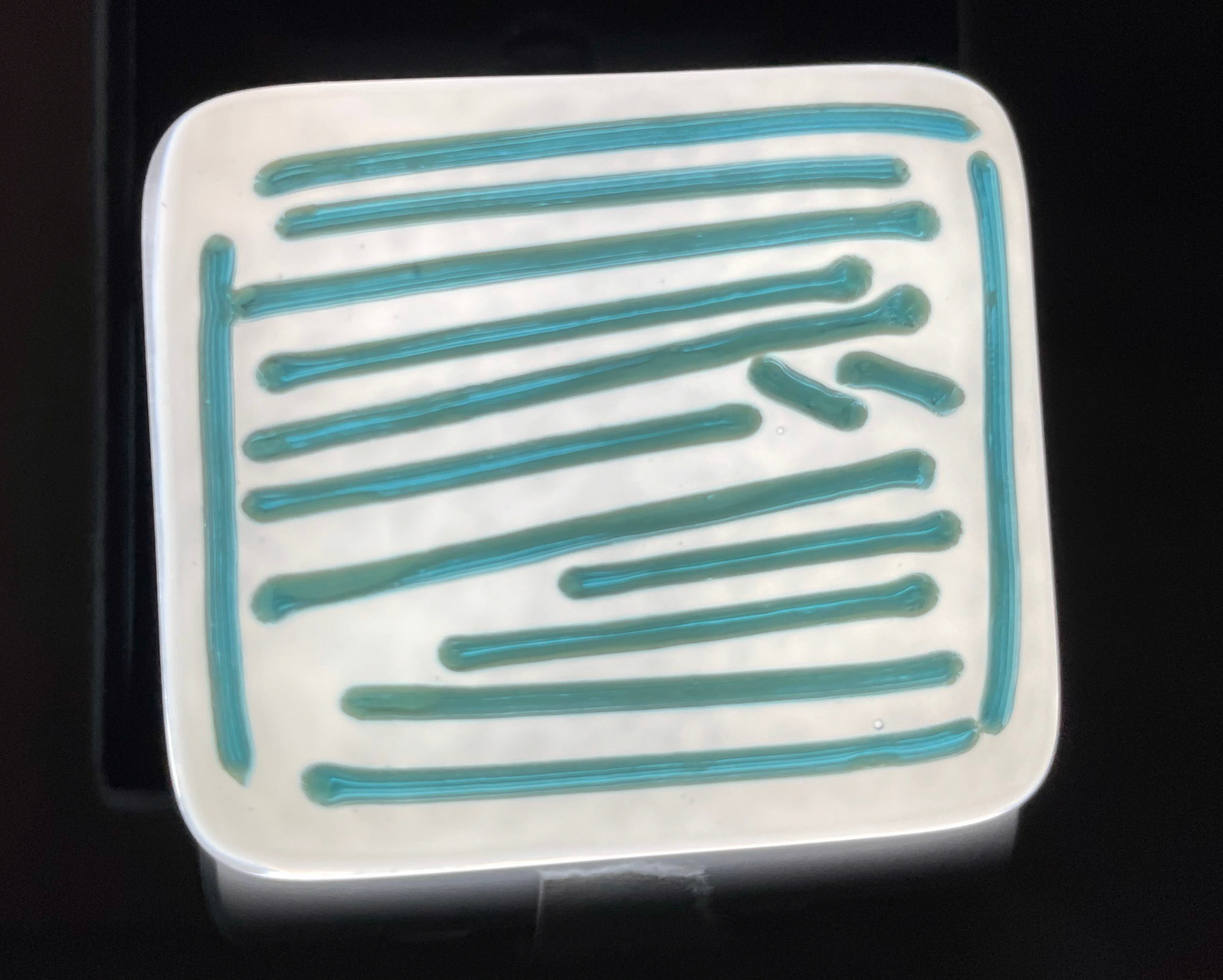 LED Nightlight Close-up