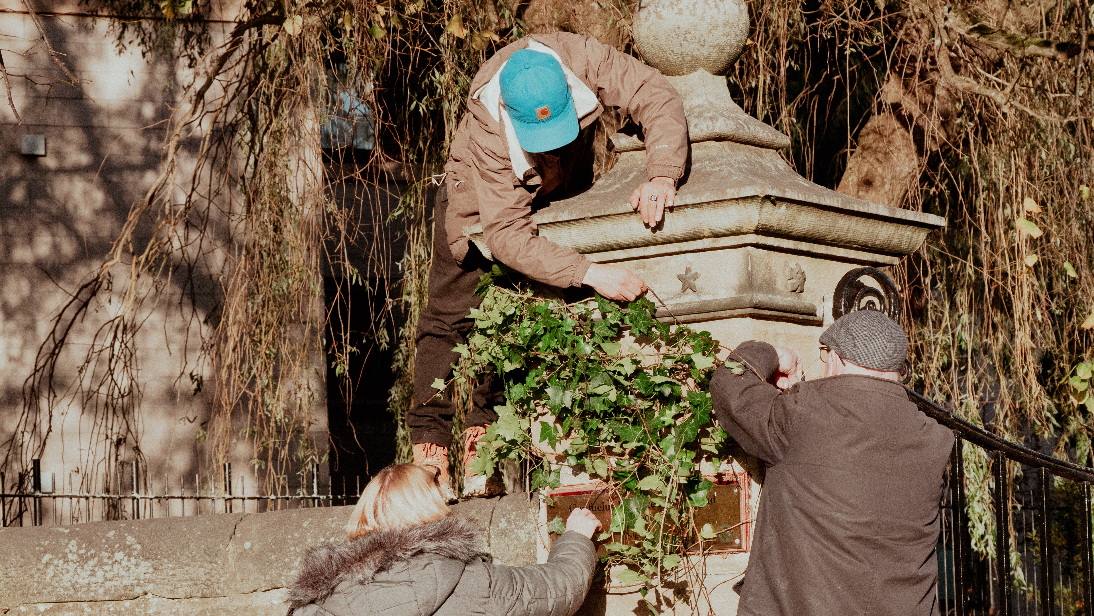 Hiding the signs with some Ivy