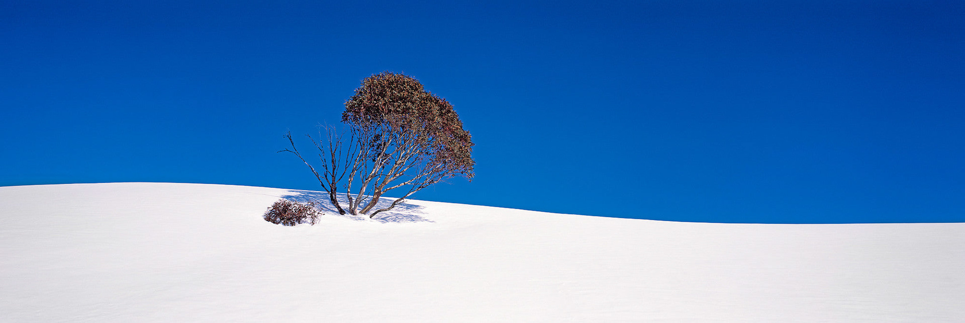 Solitude - Snowy Mts, Australia.
