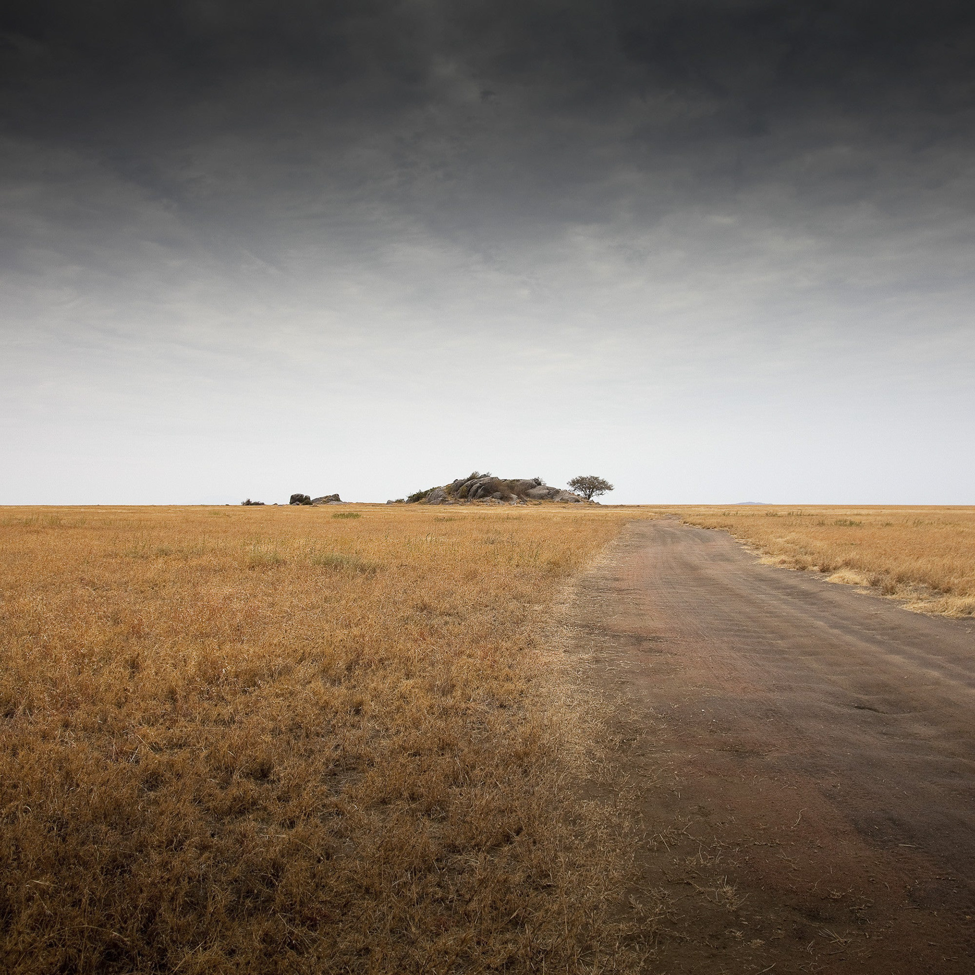 11281 - Kopje on the Savannah - Serengeti.