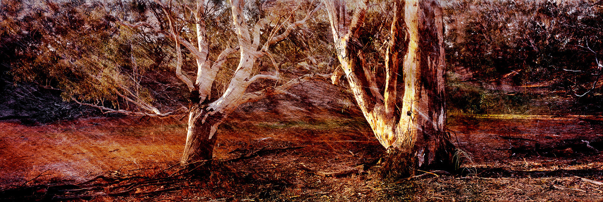 13214-50 Dry Creek, Hattah-Kulkyne NP