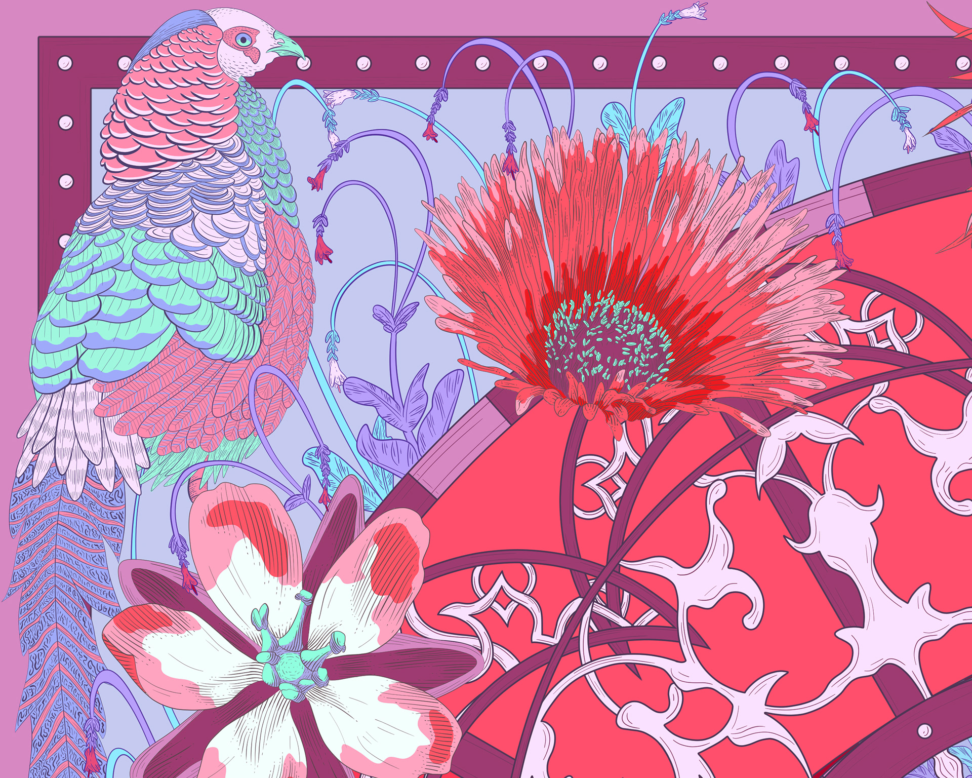Illustration of a Lady Amherst pheasant next to blooming flowers in red, purple and pink colours.