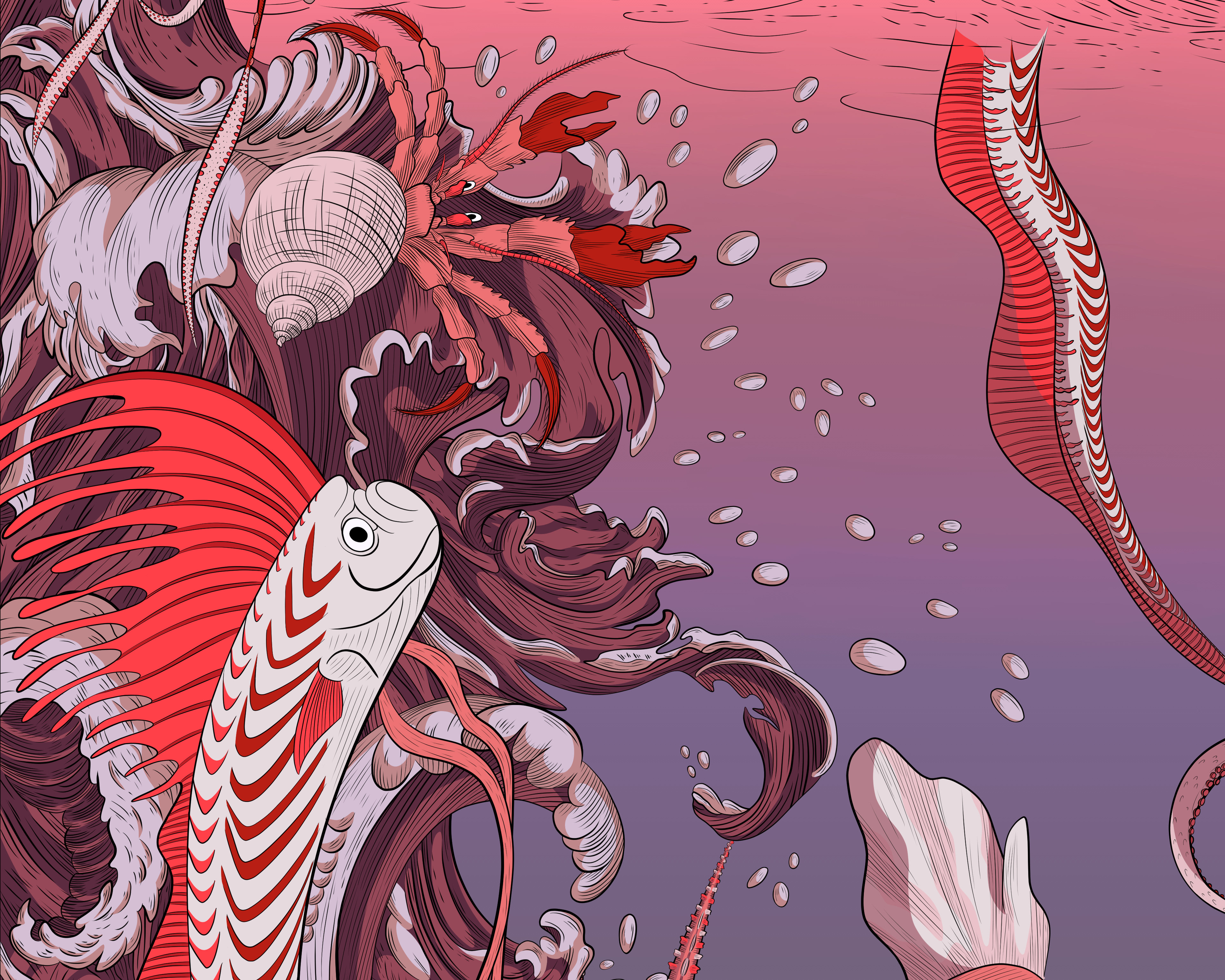 Drawing of a giant oarfish with a large red crested fin swimming upwards towards the surface.