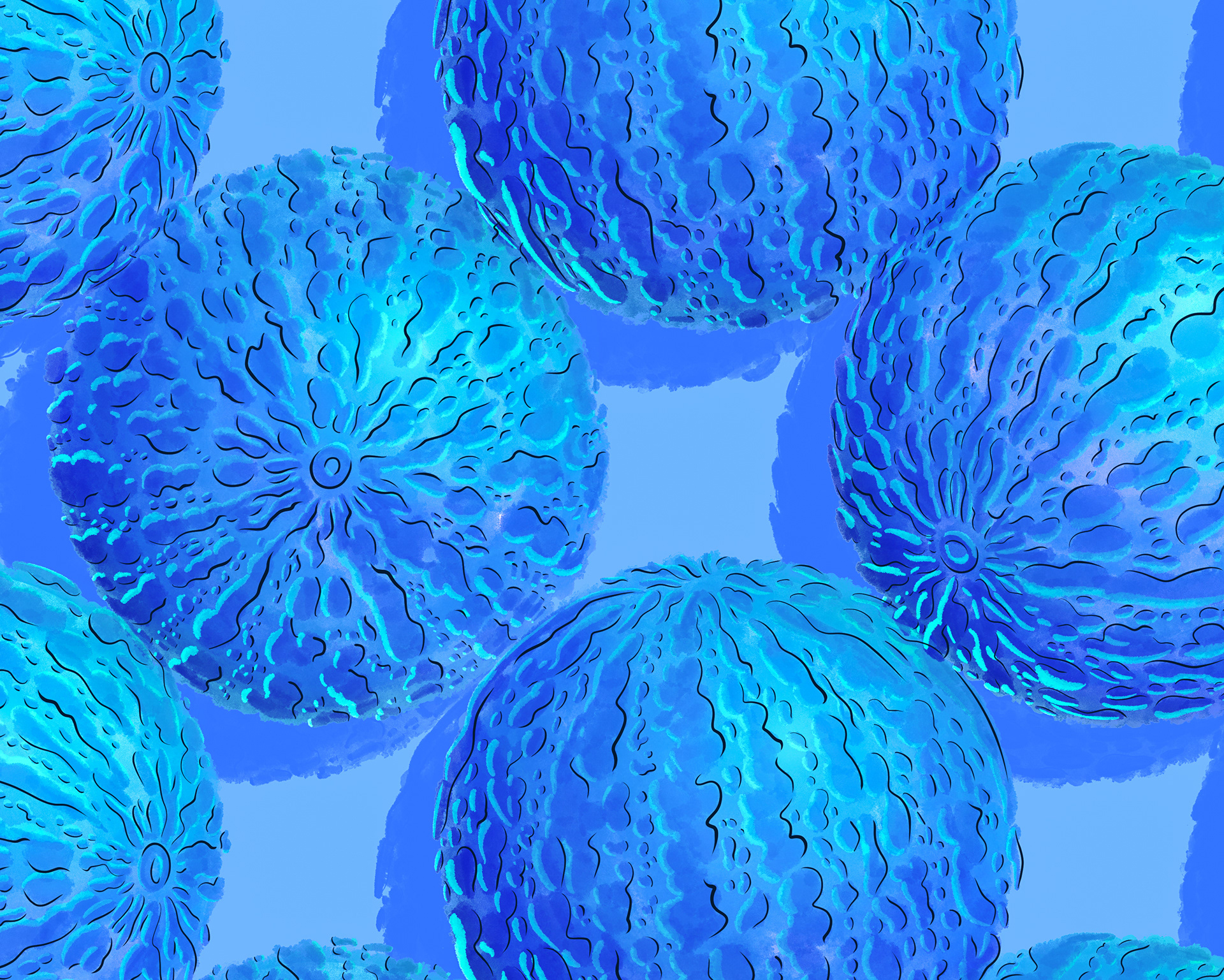 Watercolour painting of a sky blue watermelon pattern created by Sam Wilde.