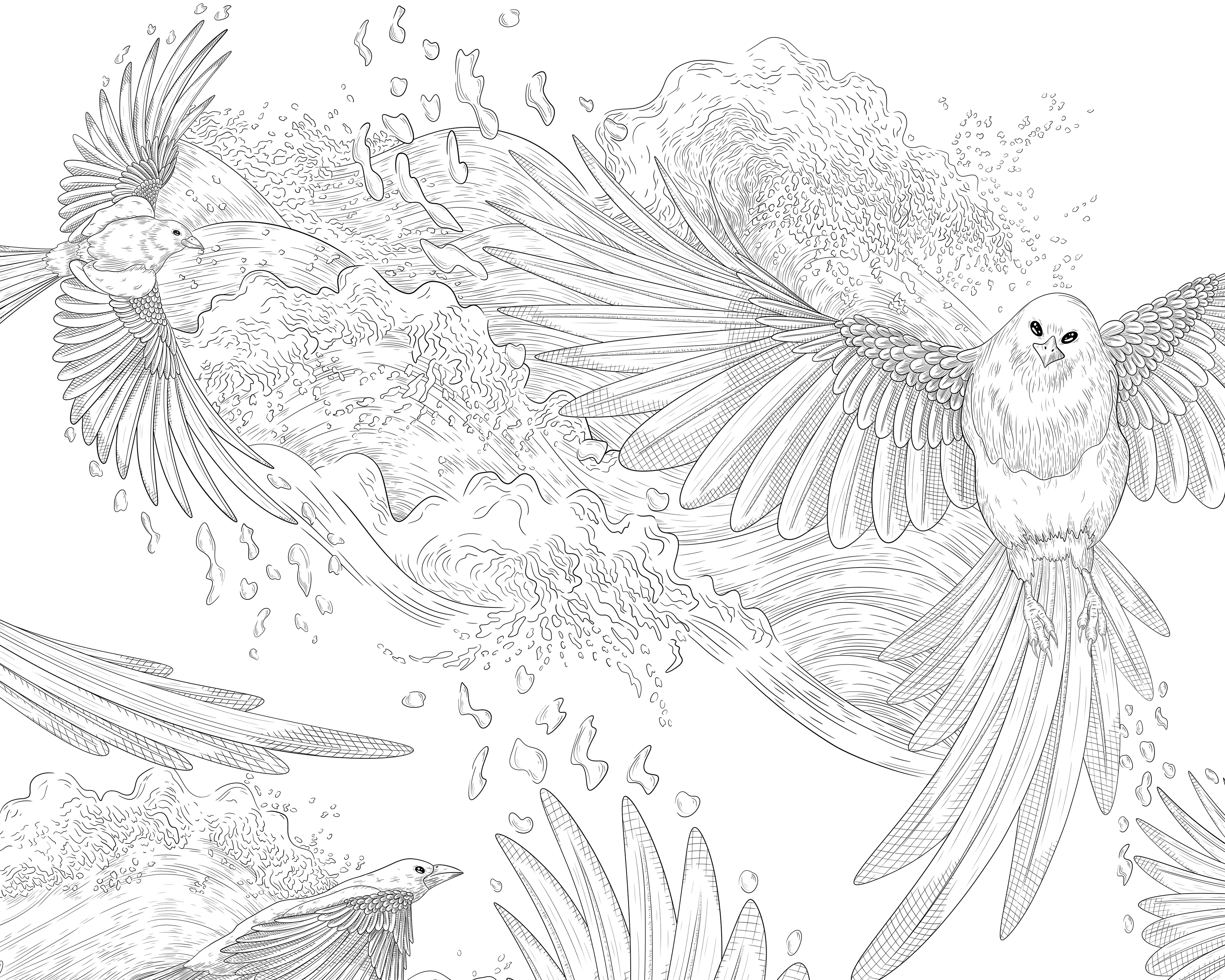 Work in progress black fine-line sketch showing the development of the magpie sea pattern.