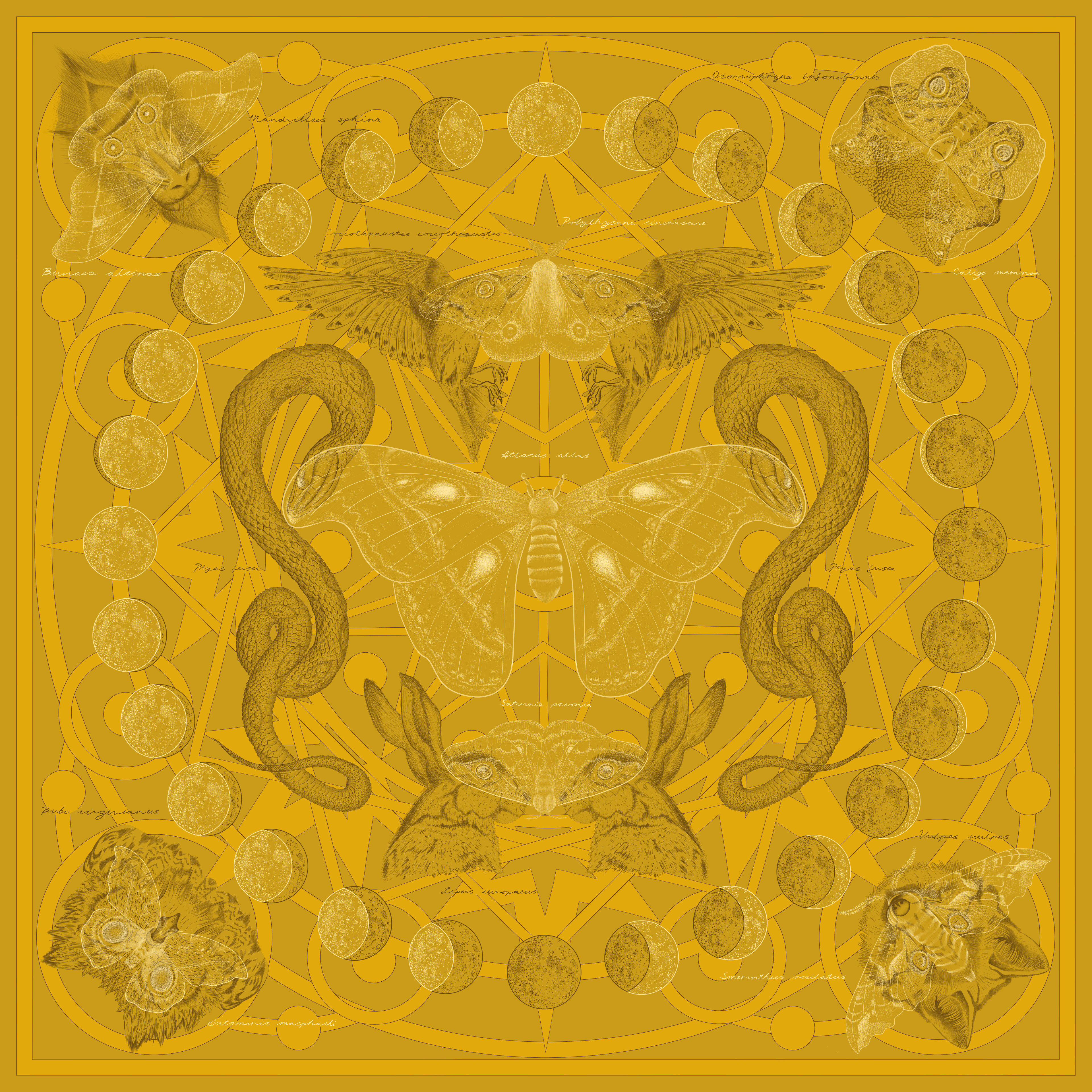 Square silk scarf design of moths and butterflies in front of a yellow astrological backdrop.