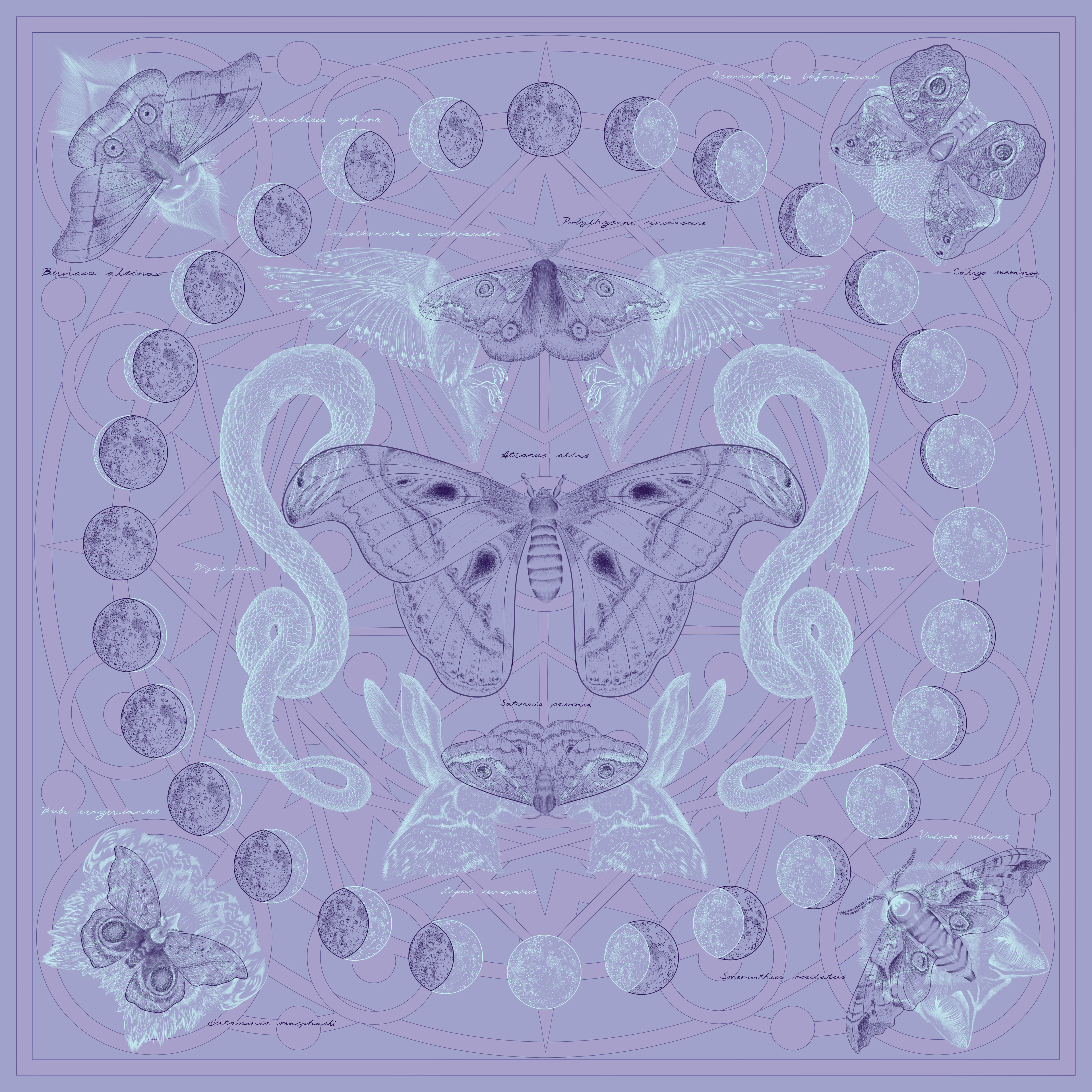 Square silk scarf illustration of animals, moons and architectural details in muted purple and blue.