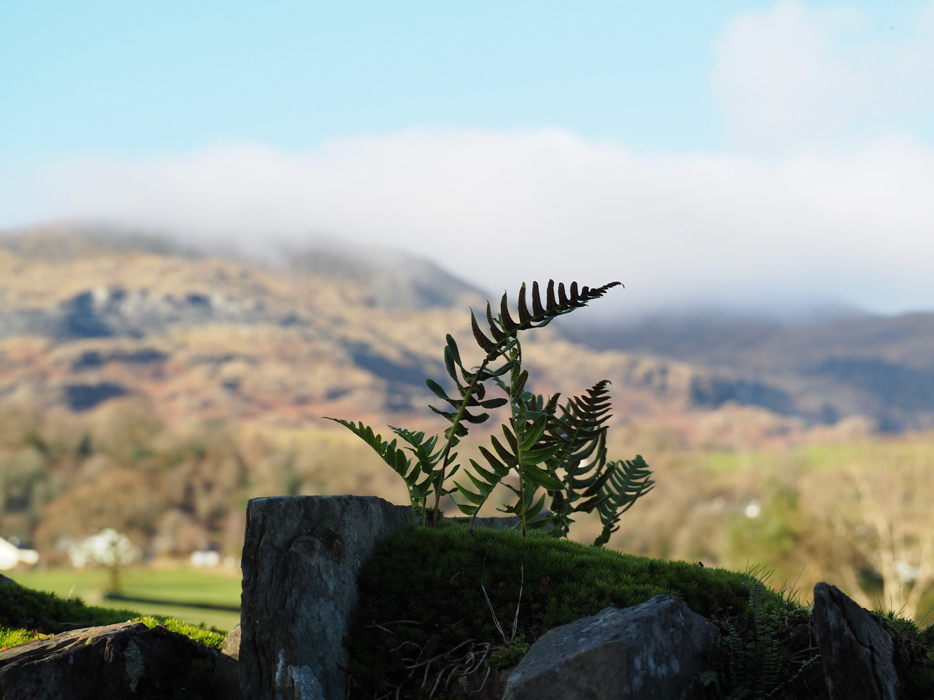 Morning in Coniston