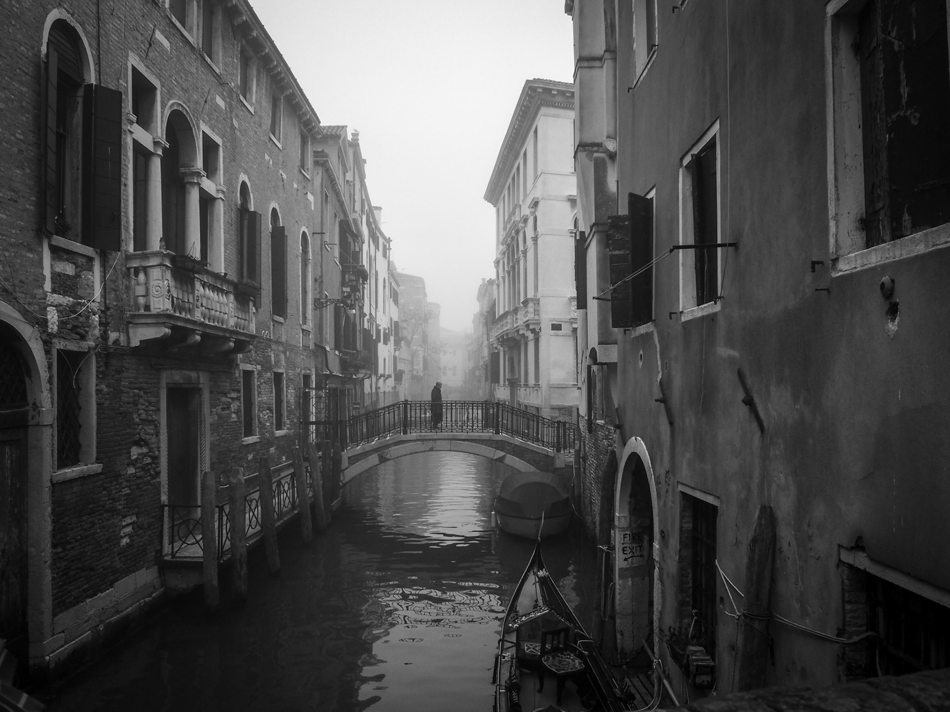 Man in the mist
