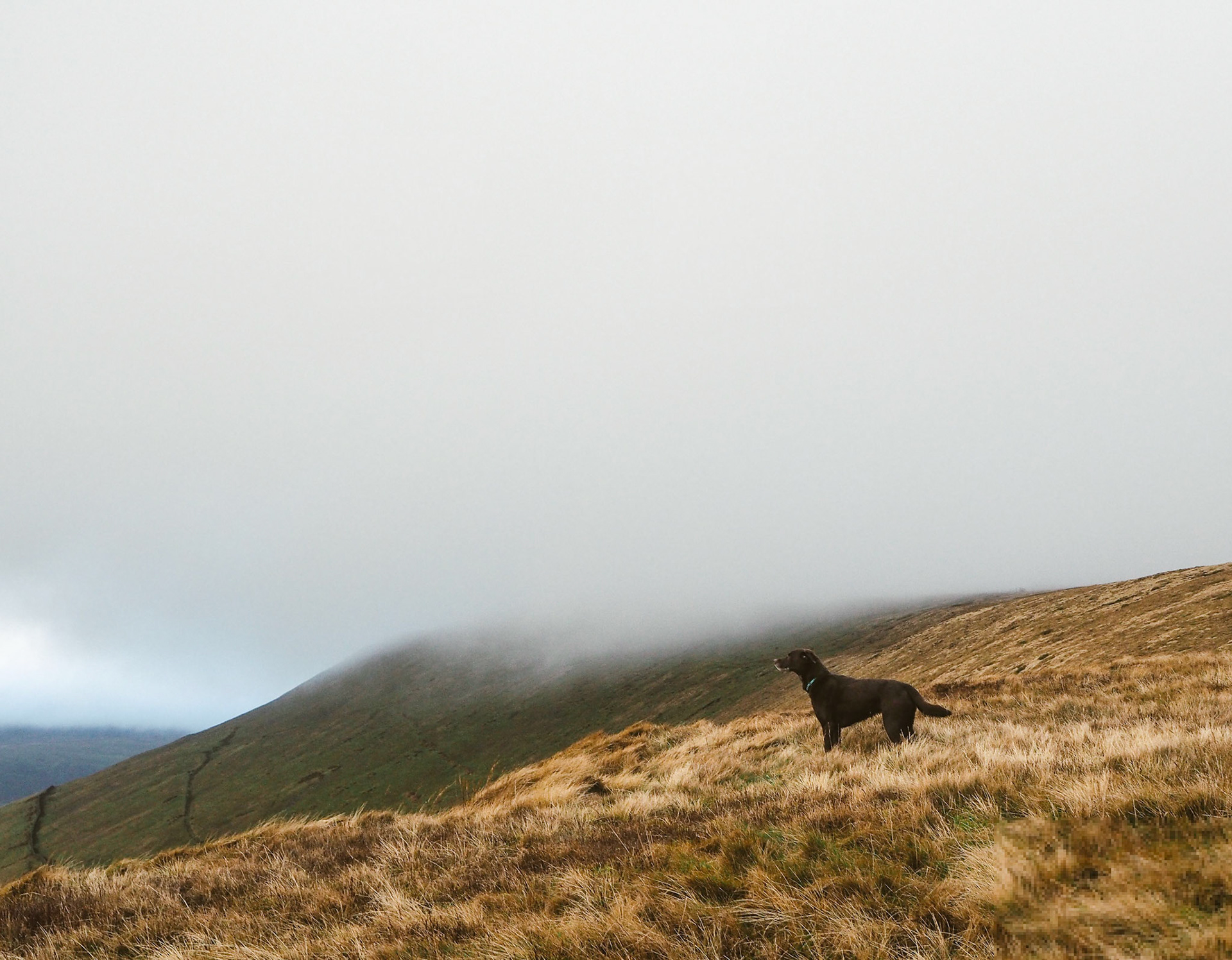 Mist over Fairsnape