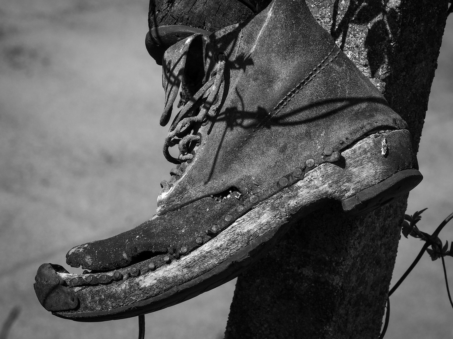 Walking clogs