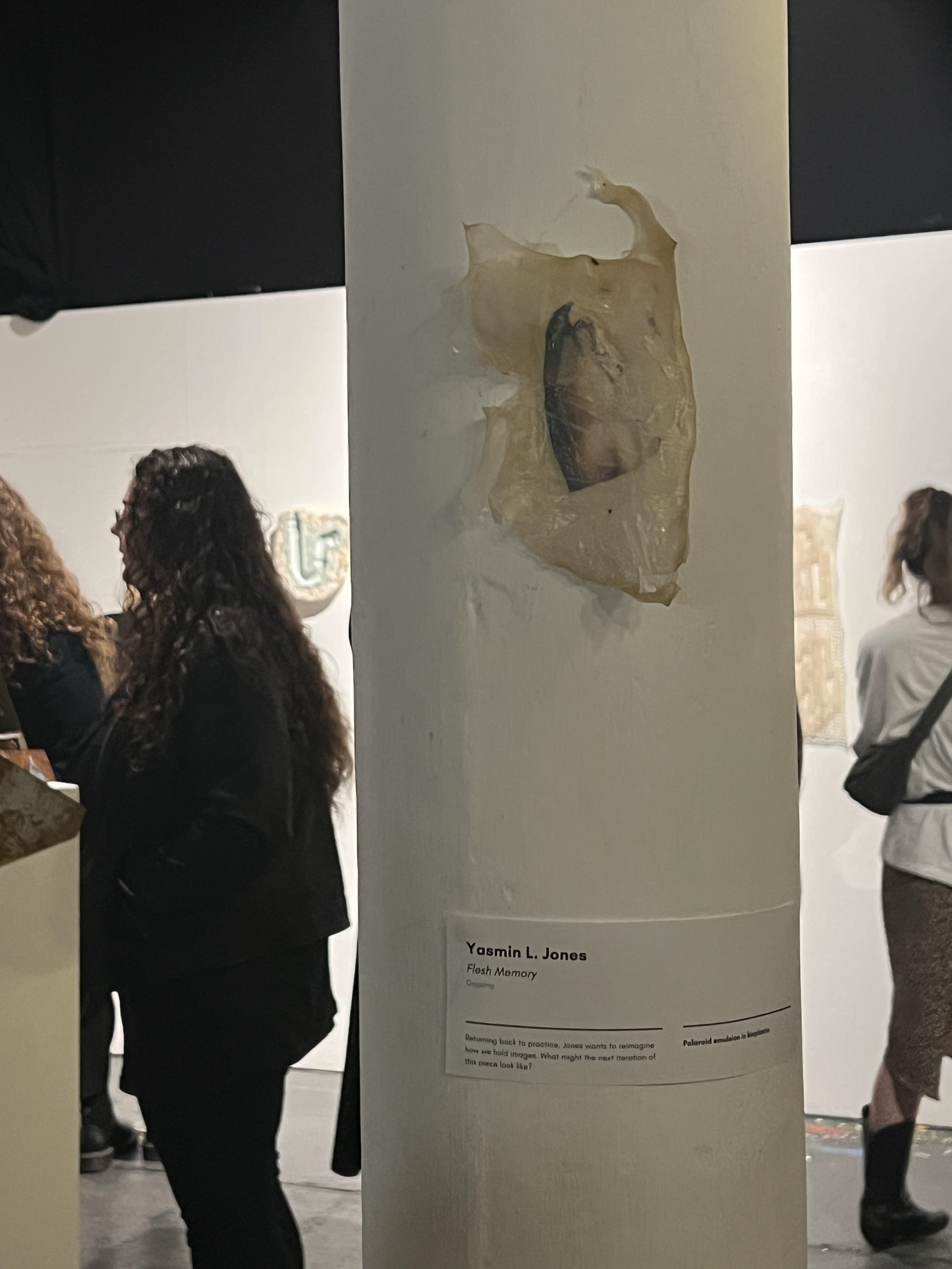 bioplastic form with emulsion lift hanging on pillar with exhibition text below