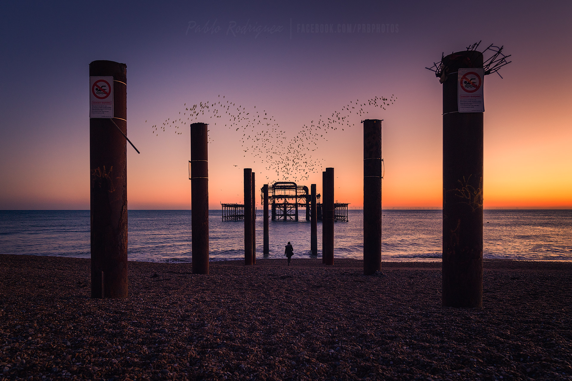 Brighton West Pier Murmuration