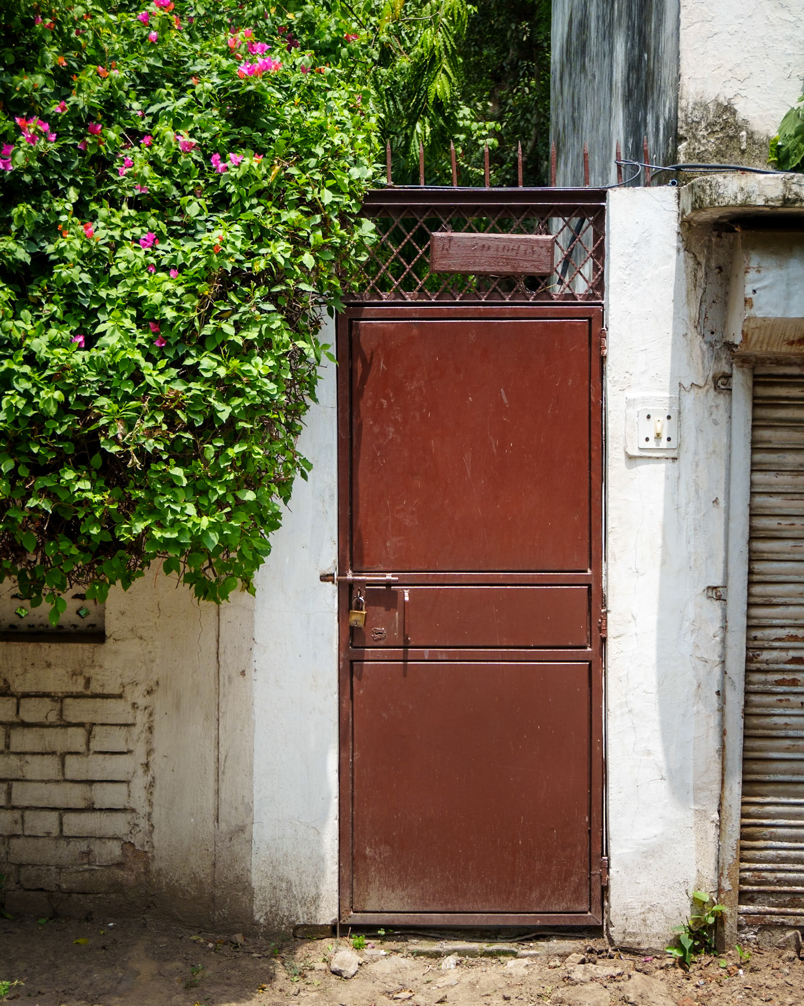 Brown Door
