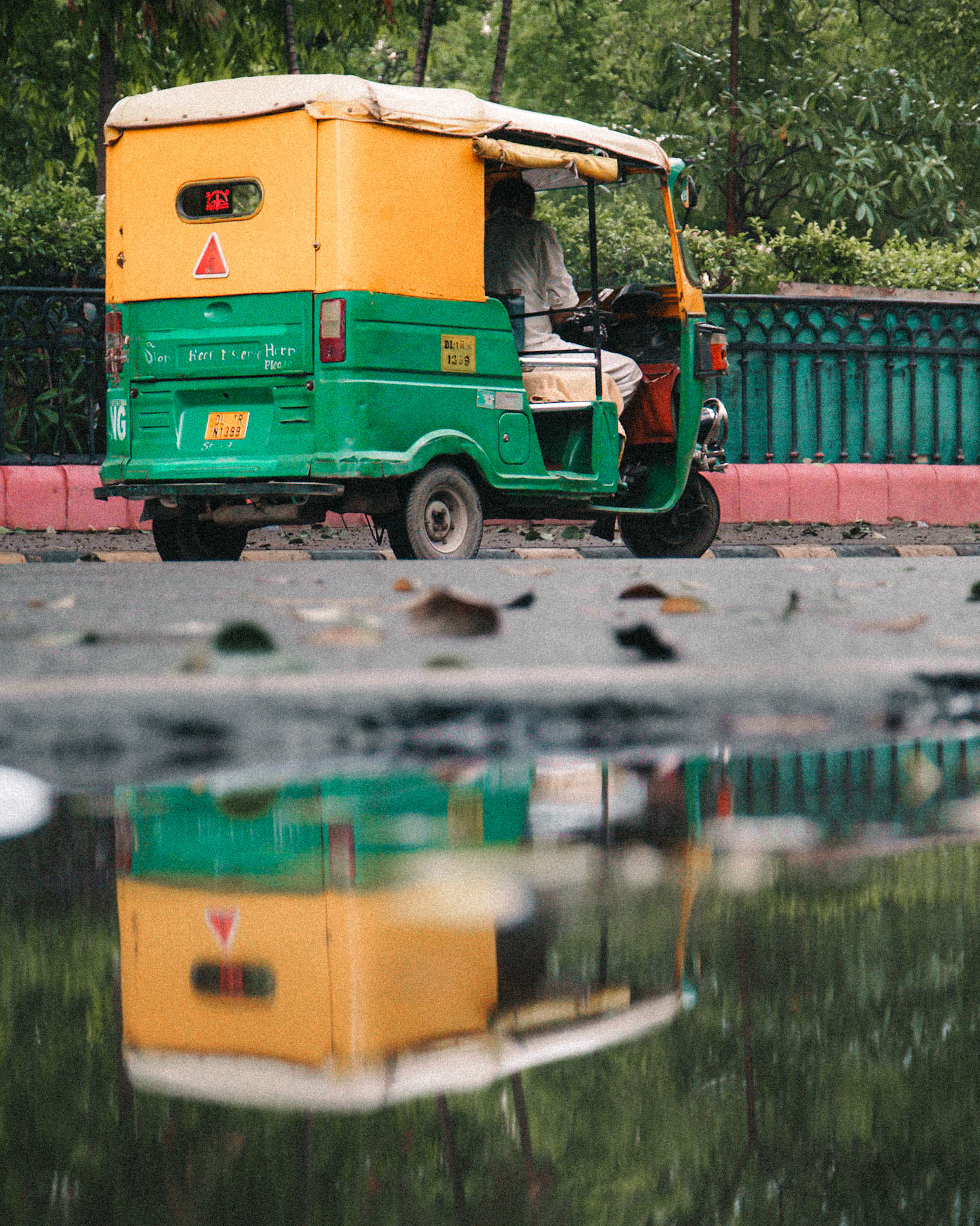 Monsoon Reflections