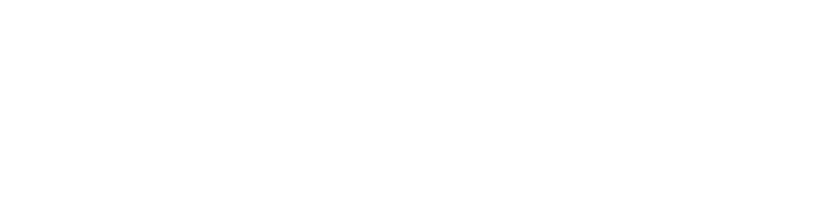 Chris McNabb