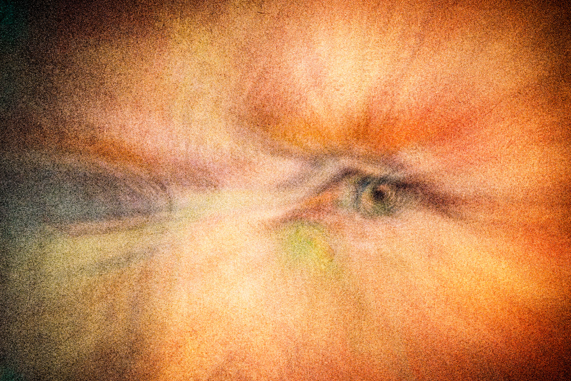 Homage to Van Gogh