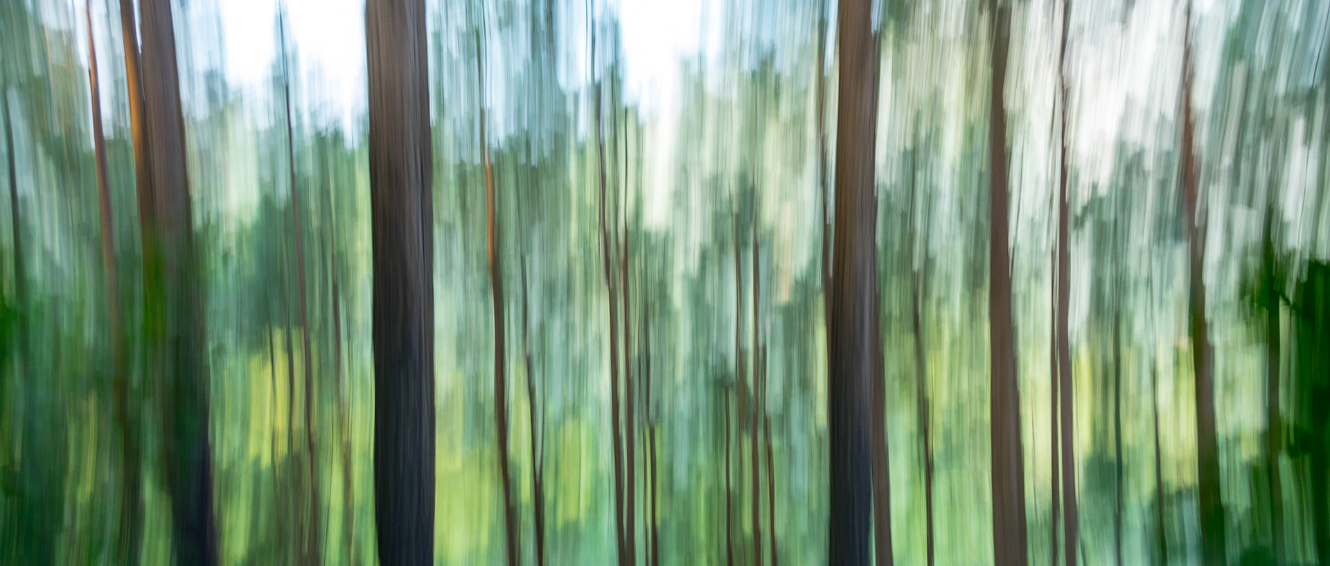 Childhood Memories (Crans)