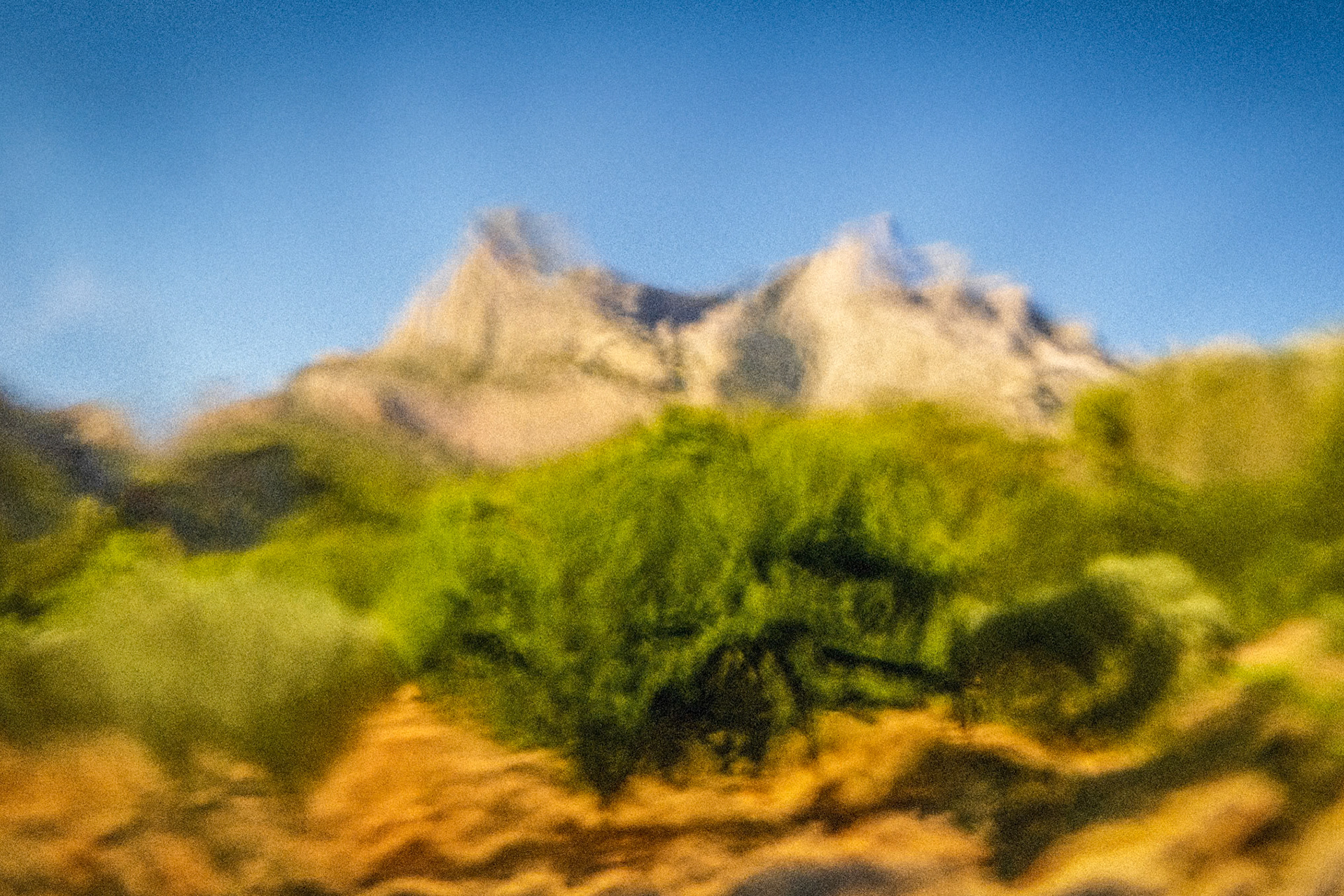 Homage to Cezanne_4