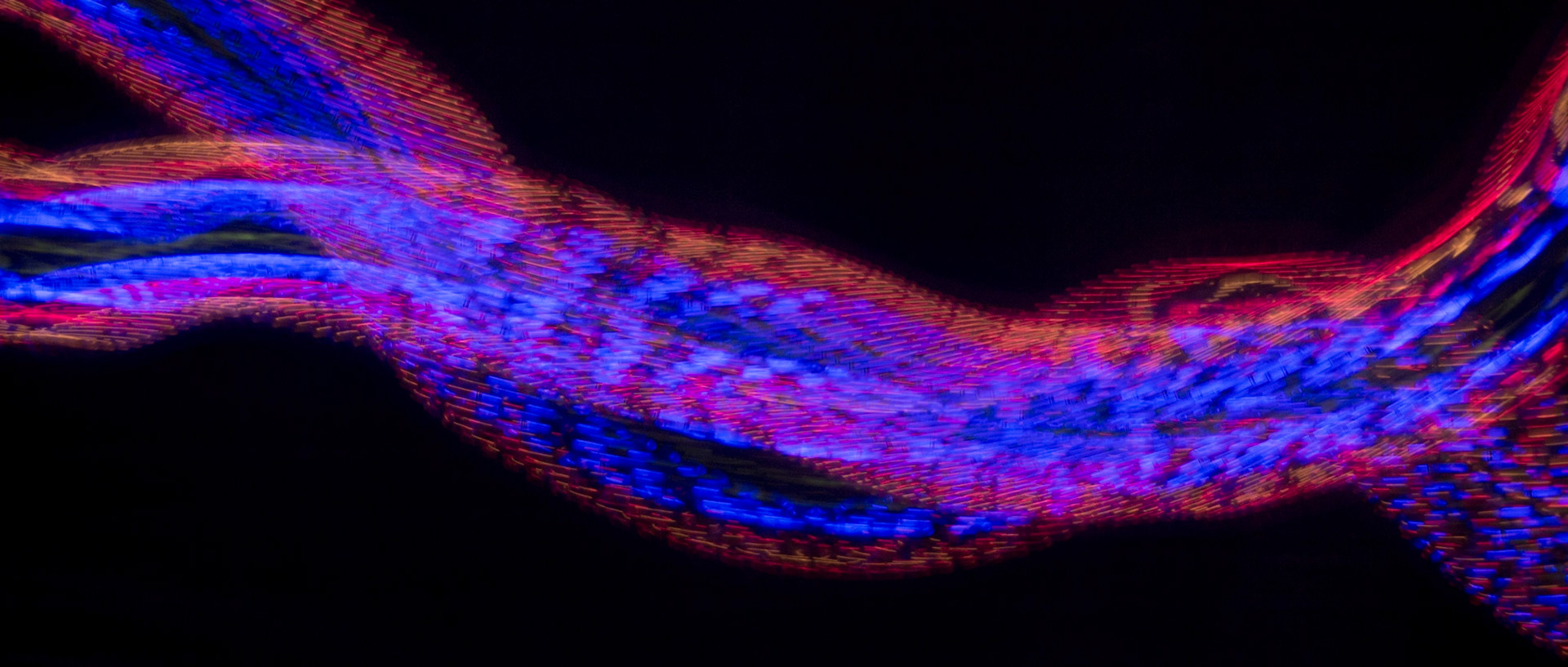 Snake Love (Lake Bunyonyi)