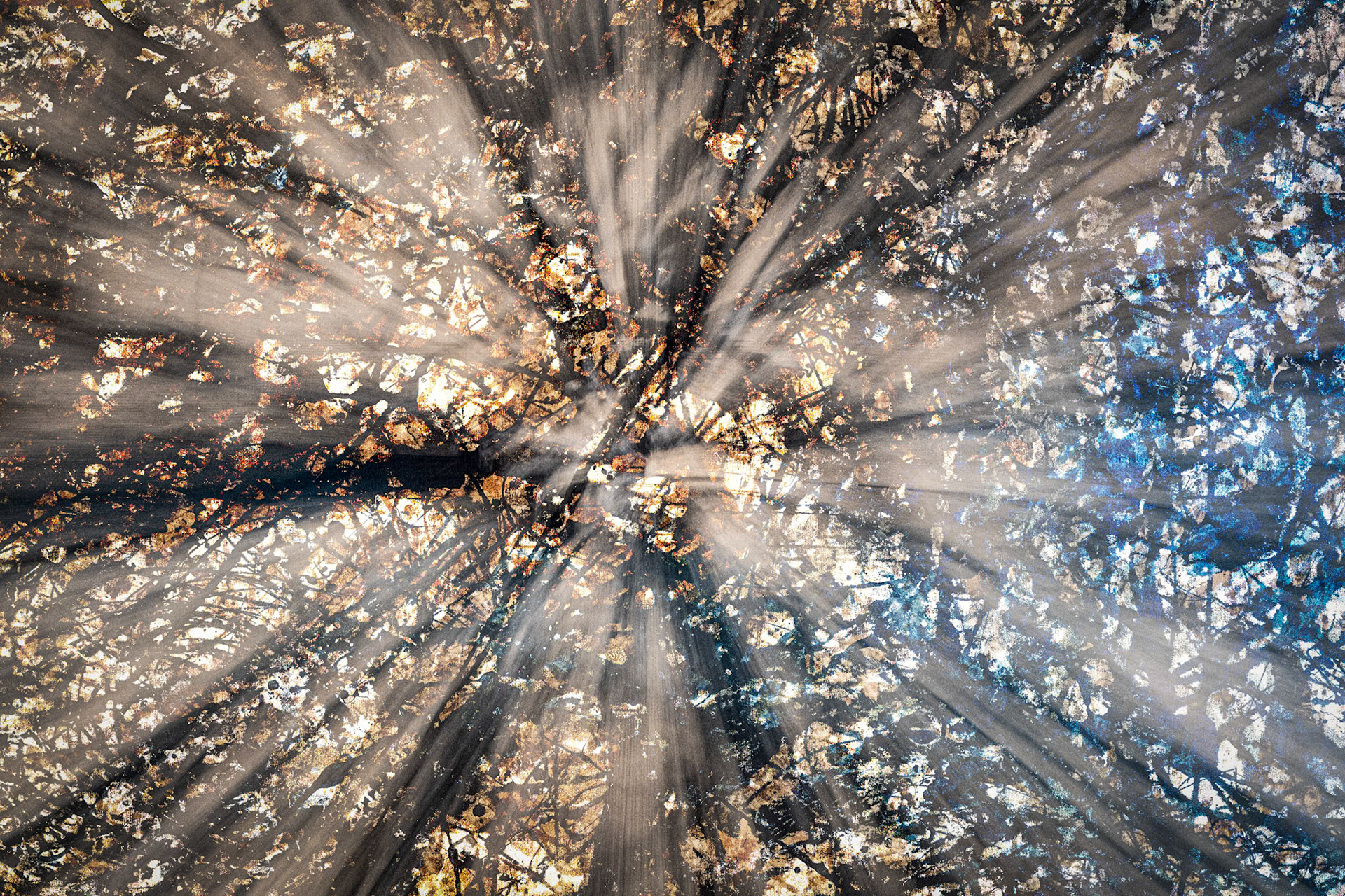 Homage to Pollock