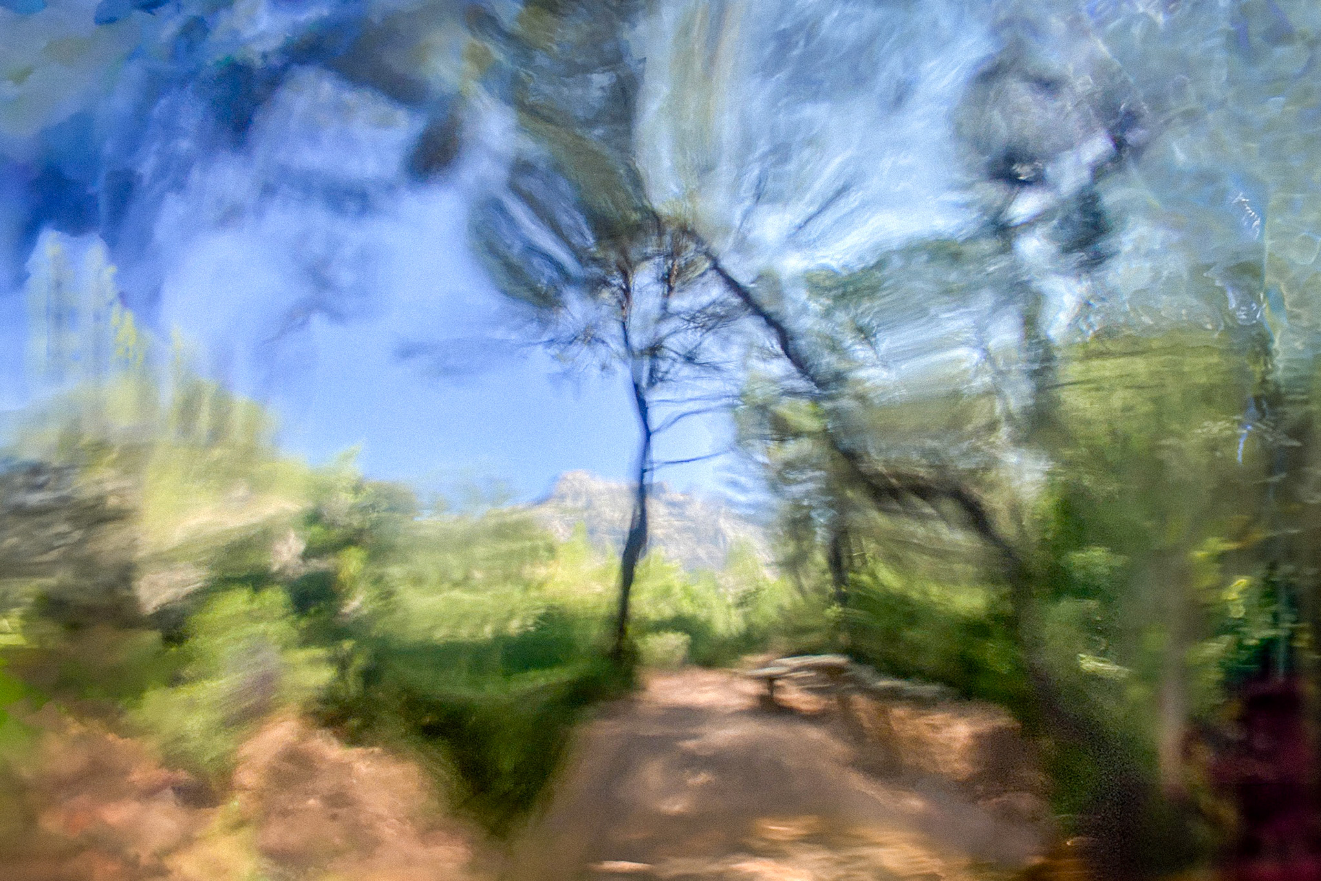 Homage to Cezanne_9