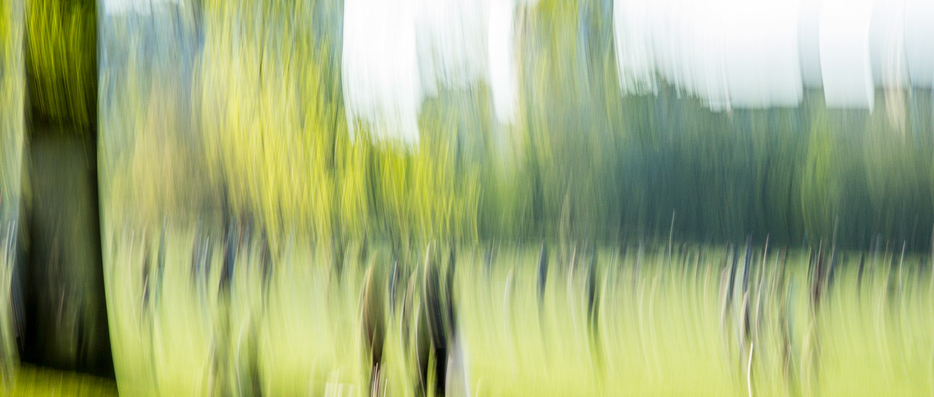 Calling all Souls (Central Park)