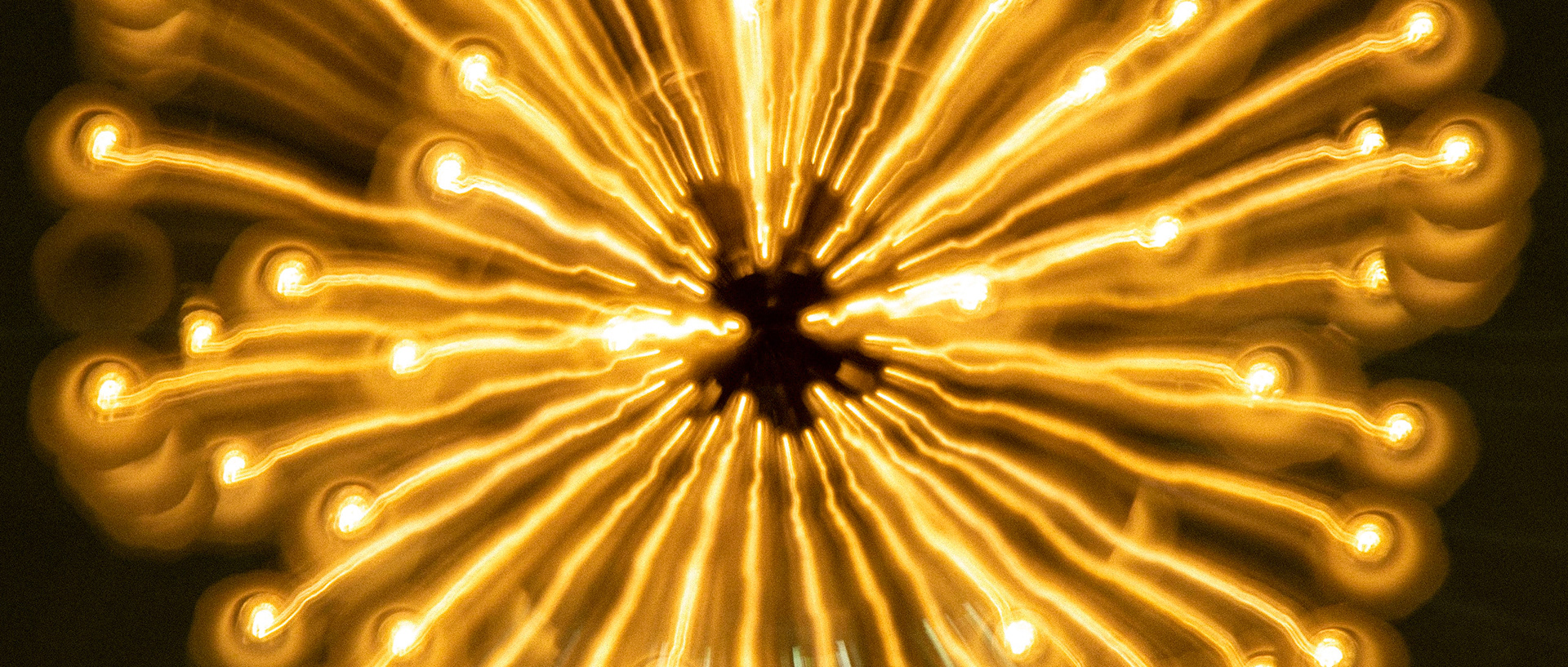 In Light We Trust 2 (Belfast)