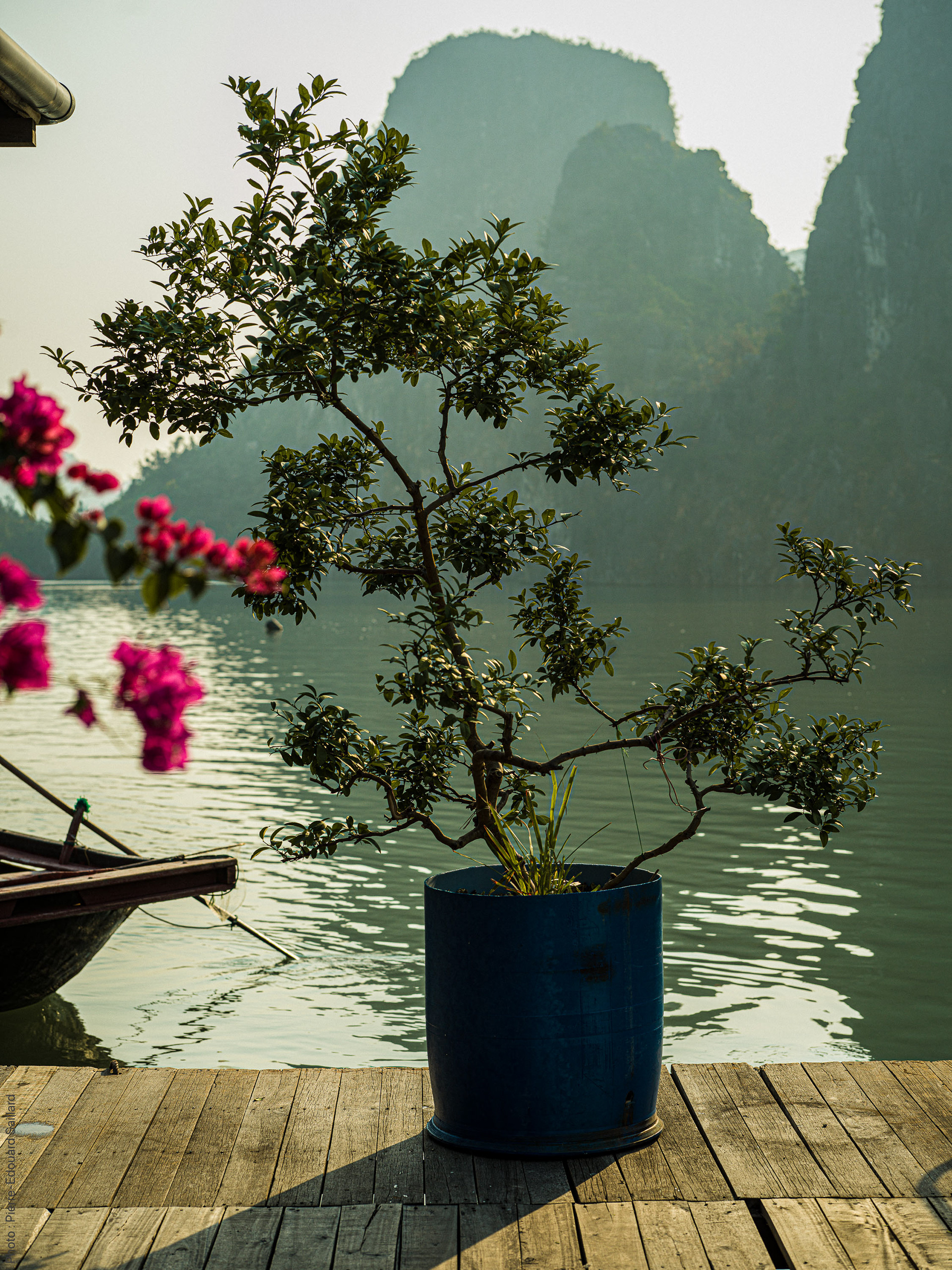 Vietnam - Halong Bay