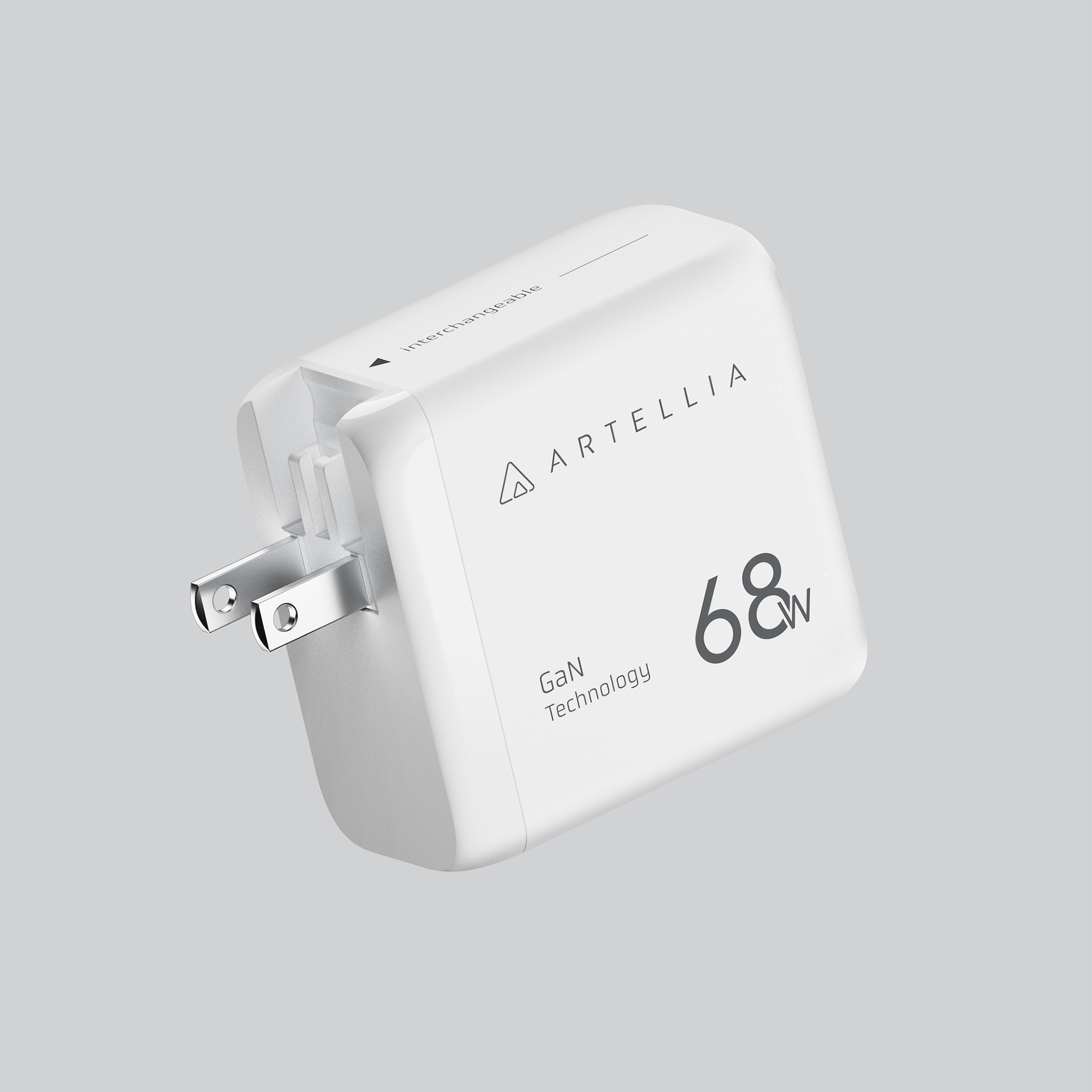 US Plug (Type A)